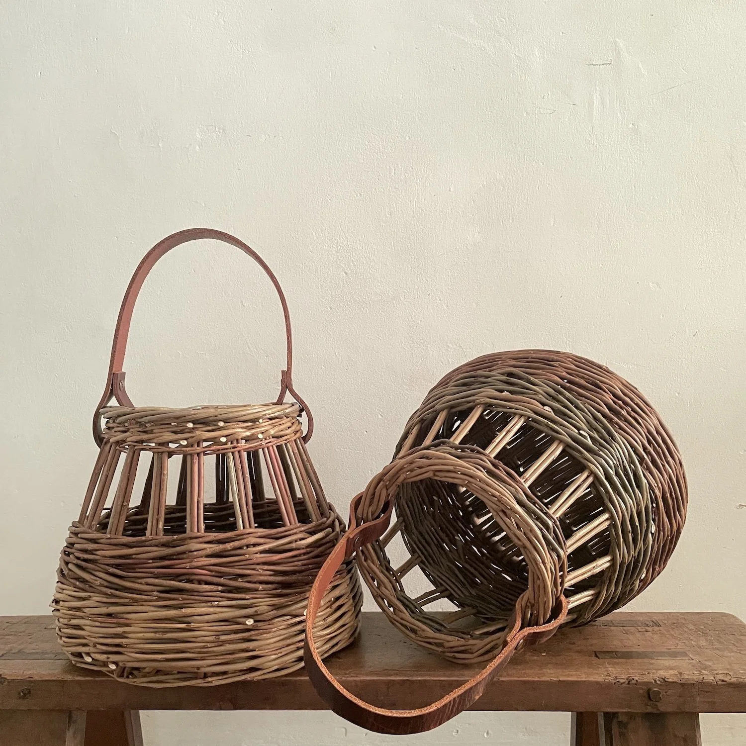 Spring ‘26 Newsletter