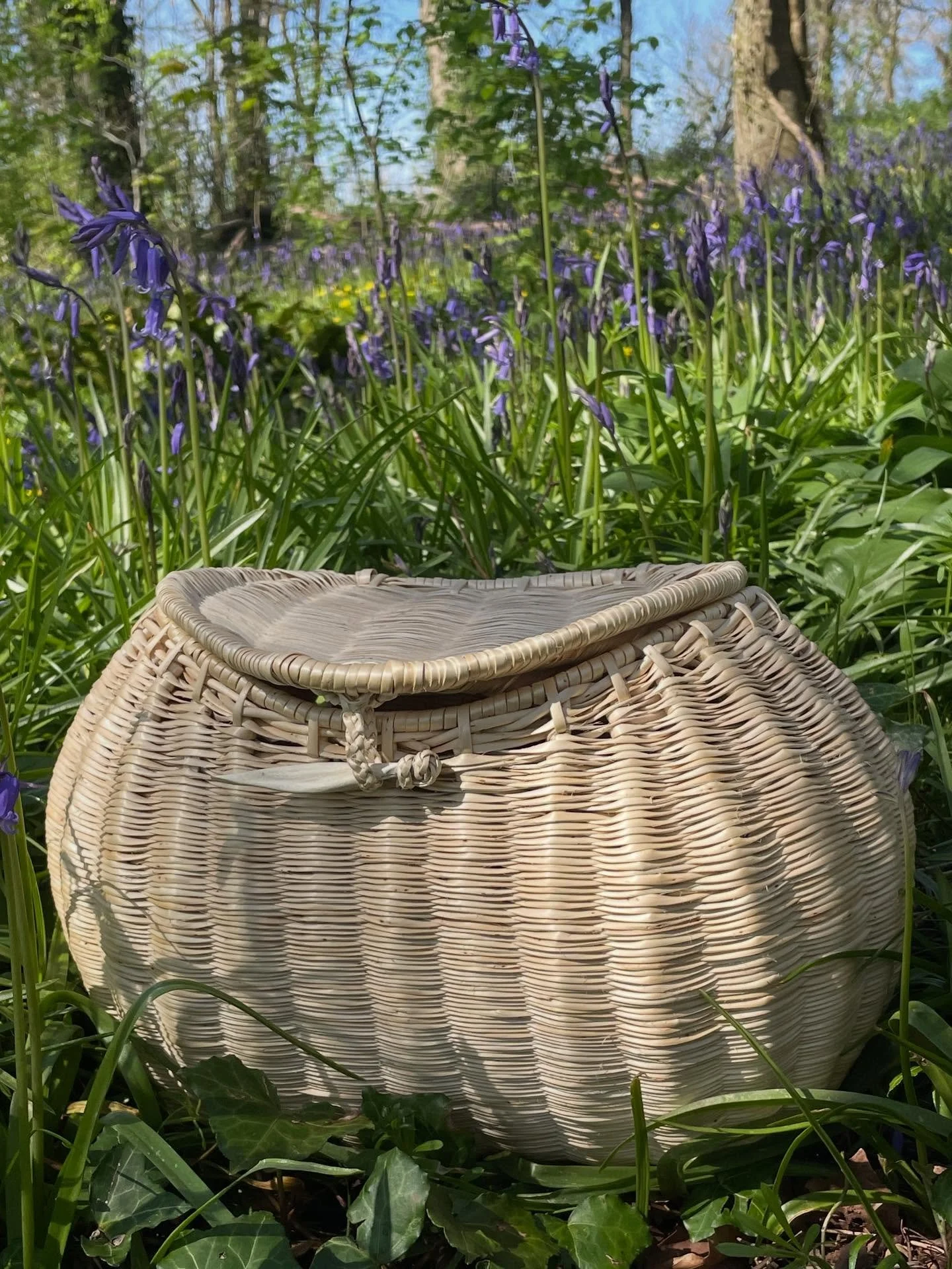 In the spring sunshine yesterday a quick photoshoot of my Kelmscott basket before it heads off to be on show at the manor in May.

Part of my Maker in Residency at Kelmscott Manor, (the home of William Morris and his family in Oxfordshire), was to cr