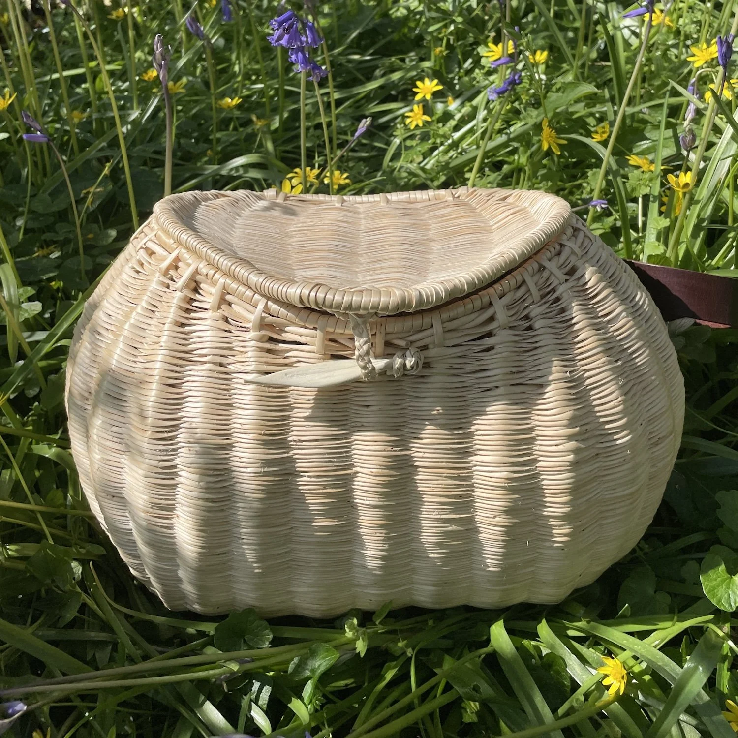 Bonus Spring ‘26 newsletter