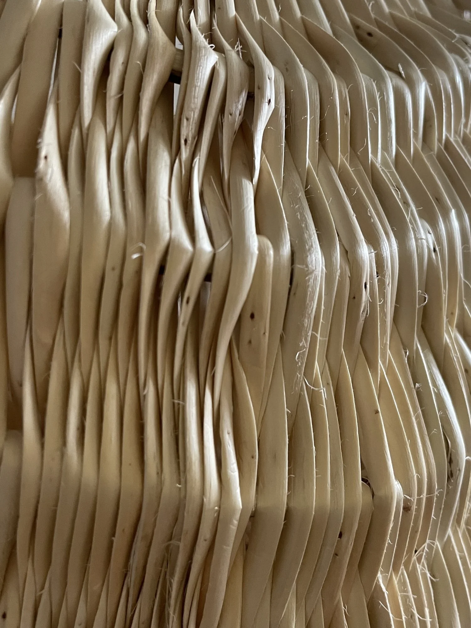 Skeined white willow Ose basket vertical detail.JPG