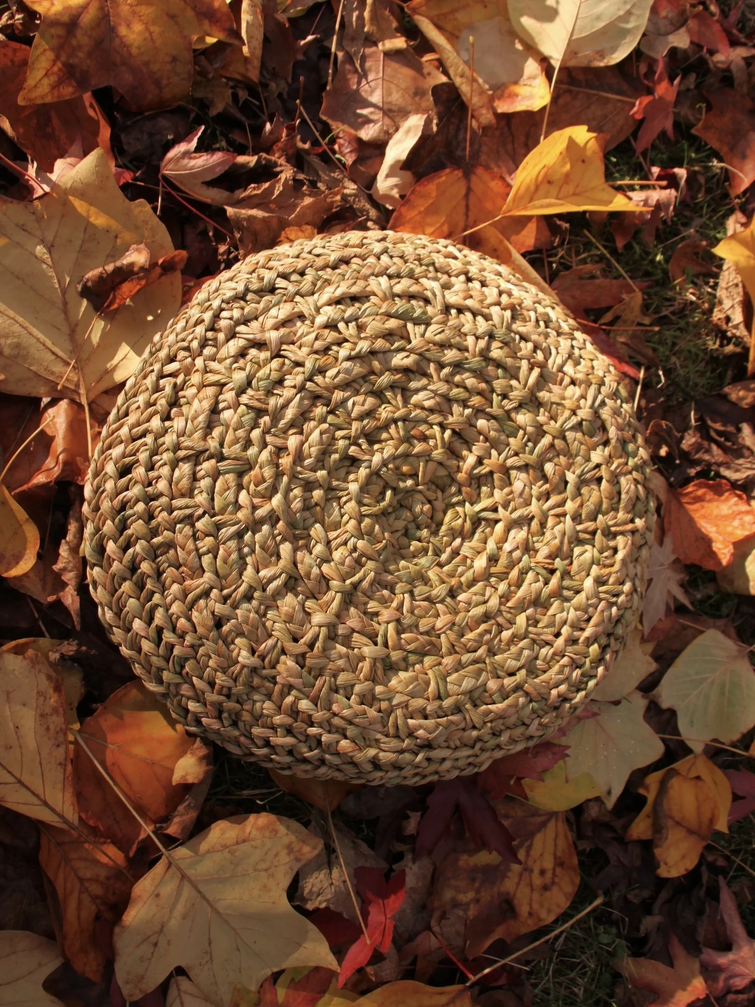 Hayve basket leaves base.JPG