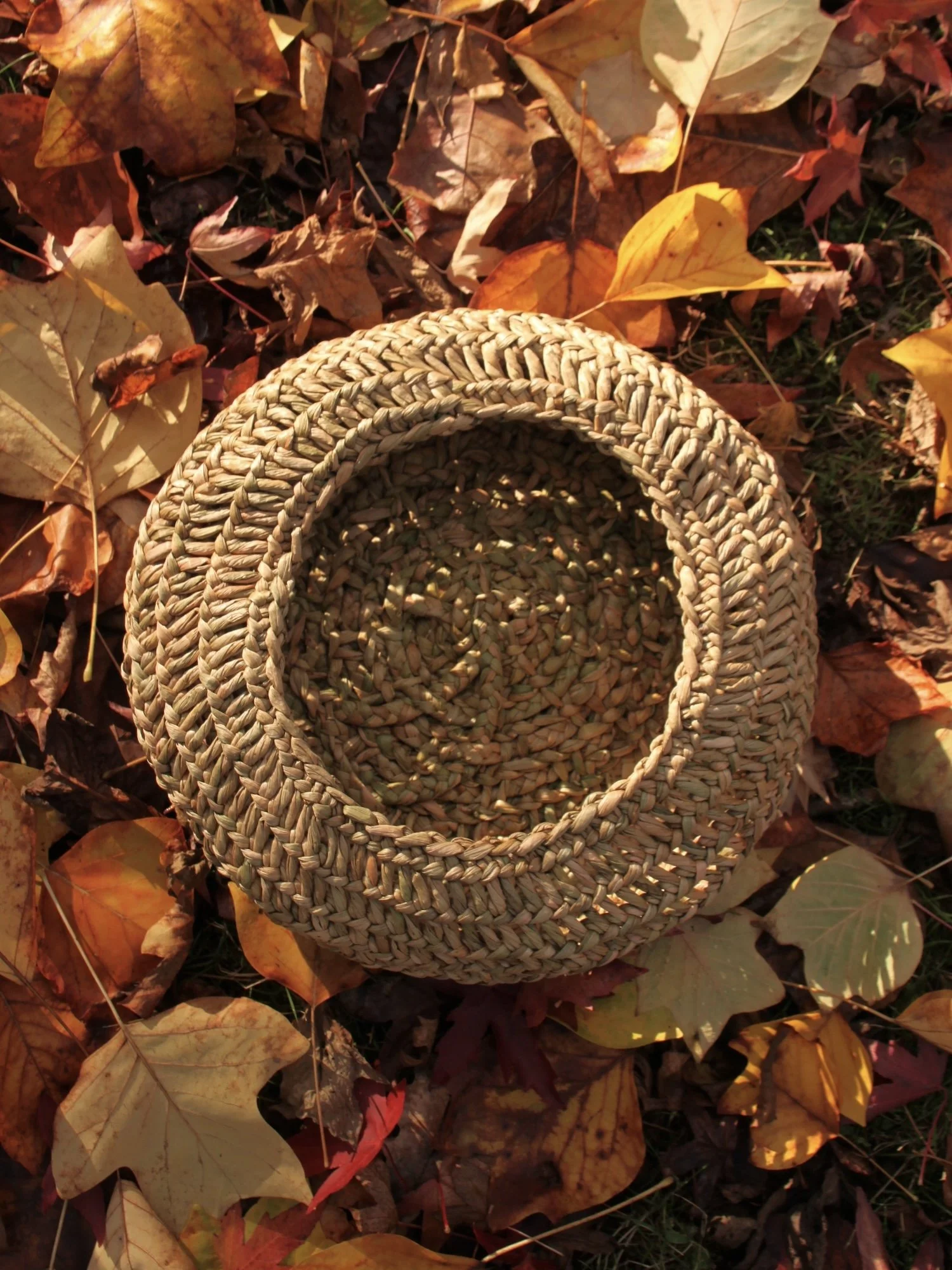 Hayve basket leaves inside.JPG