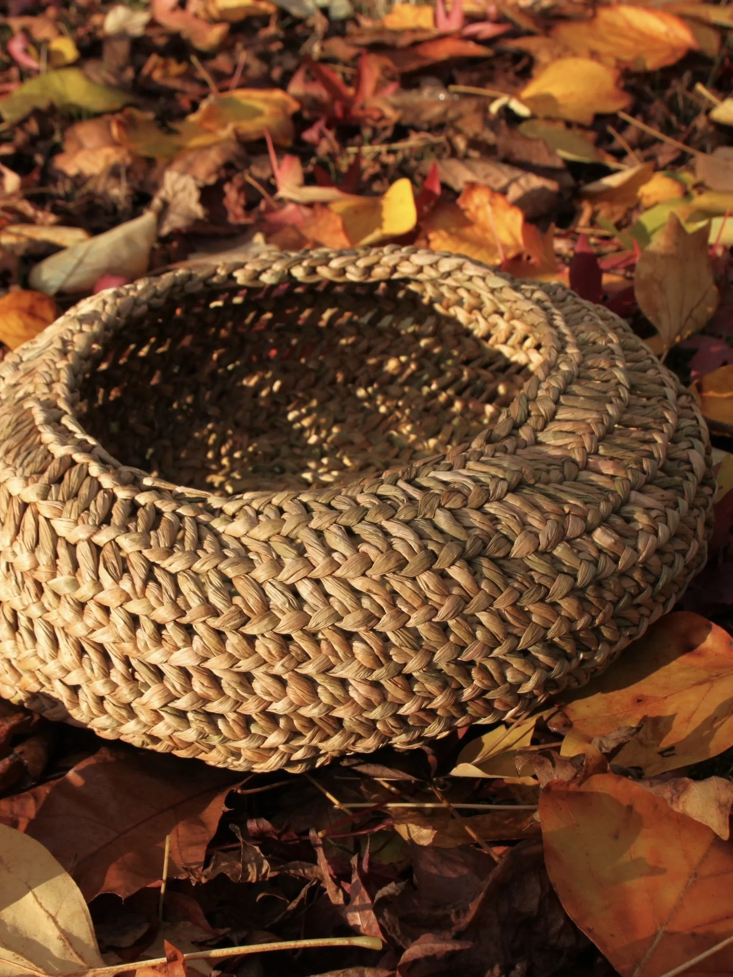 Hayve basket leaves main.JPG