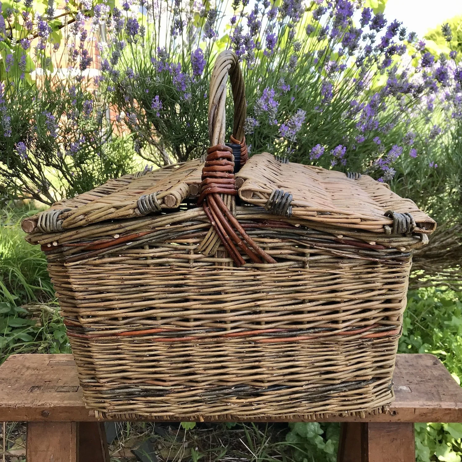 Haley Hamper main copy.JPG