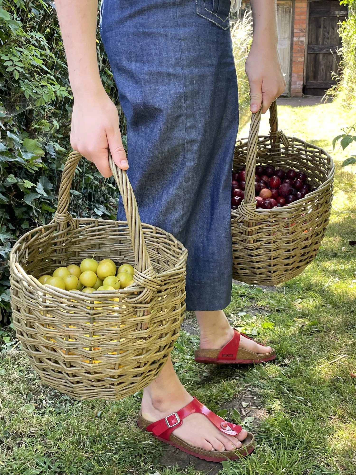Round Handling Fruit Baskets DM.JPG