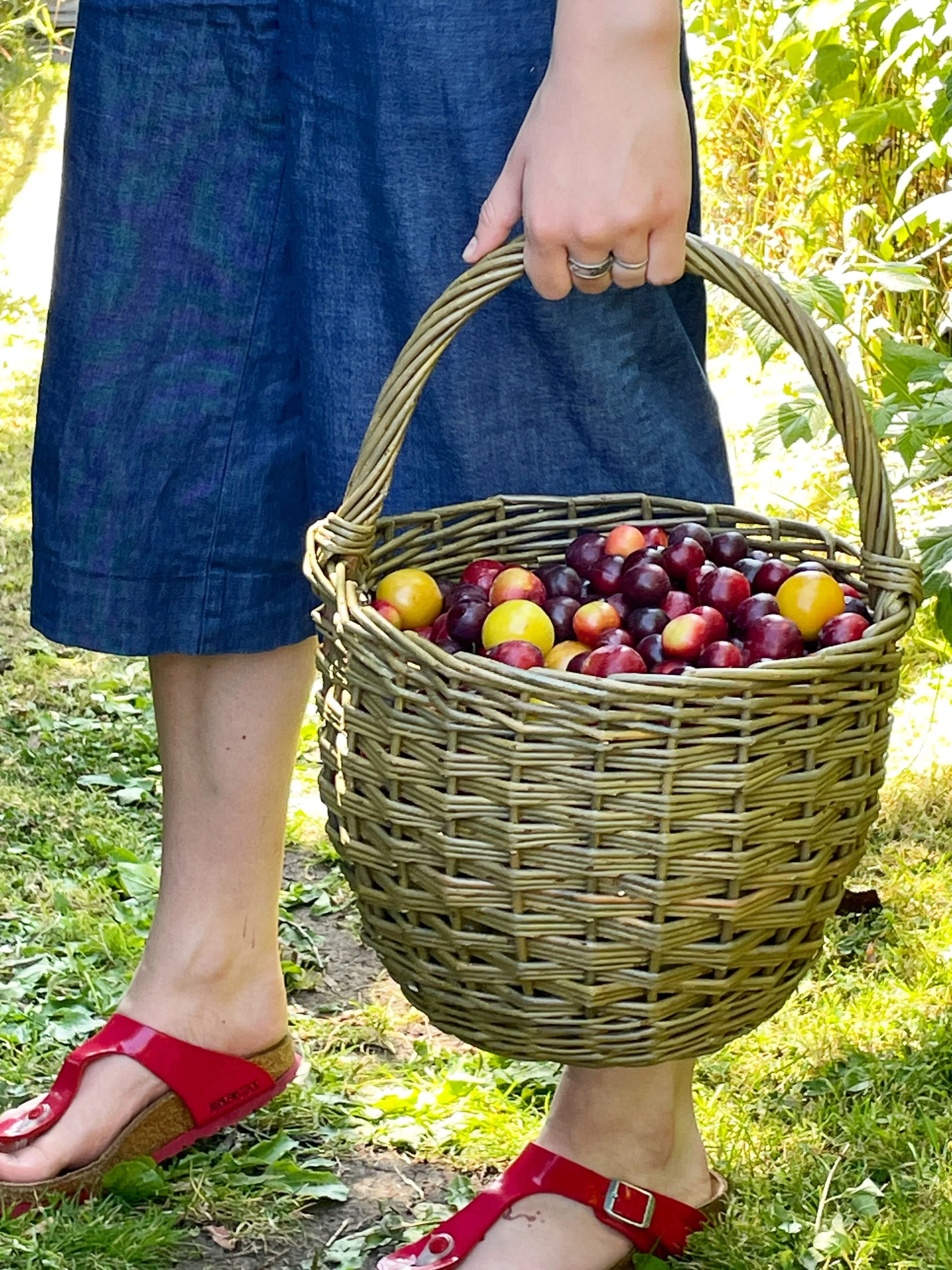 Traditional English Willow Fruit Baskets destined for Kelmscott Manor. 

5 commissioned in Dicky Meadows willow to become handling baskets. These will sit on the windowsills within the manor containing objects that visitors can touch. This traditiona