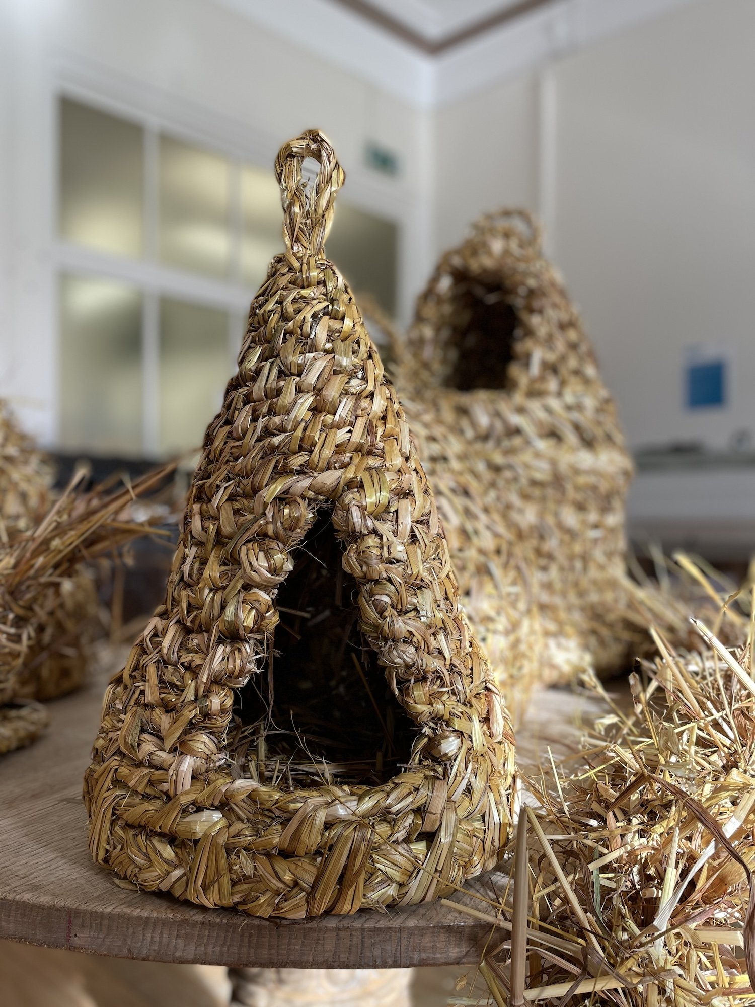 Straw work hen basket classroom G.jpeg