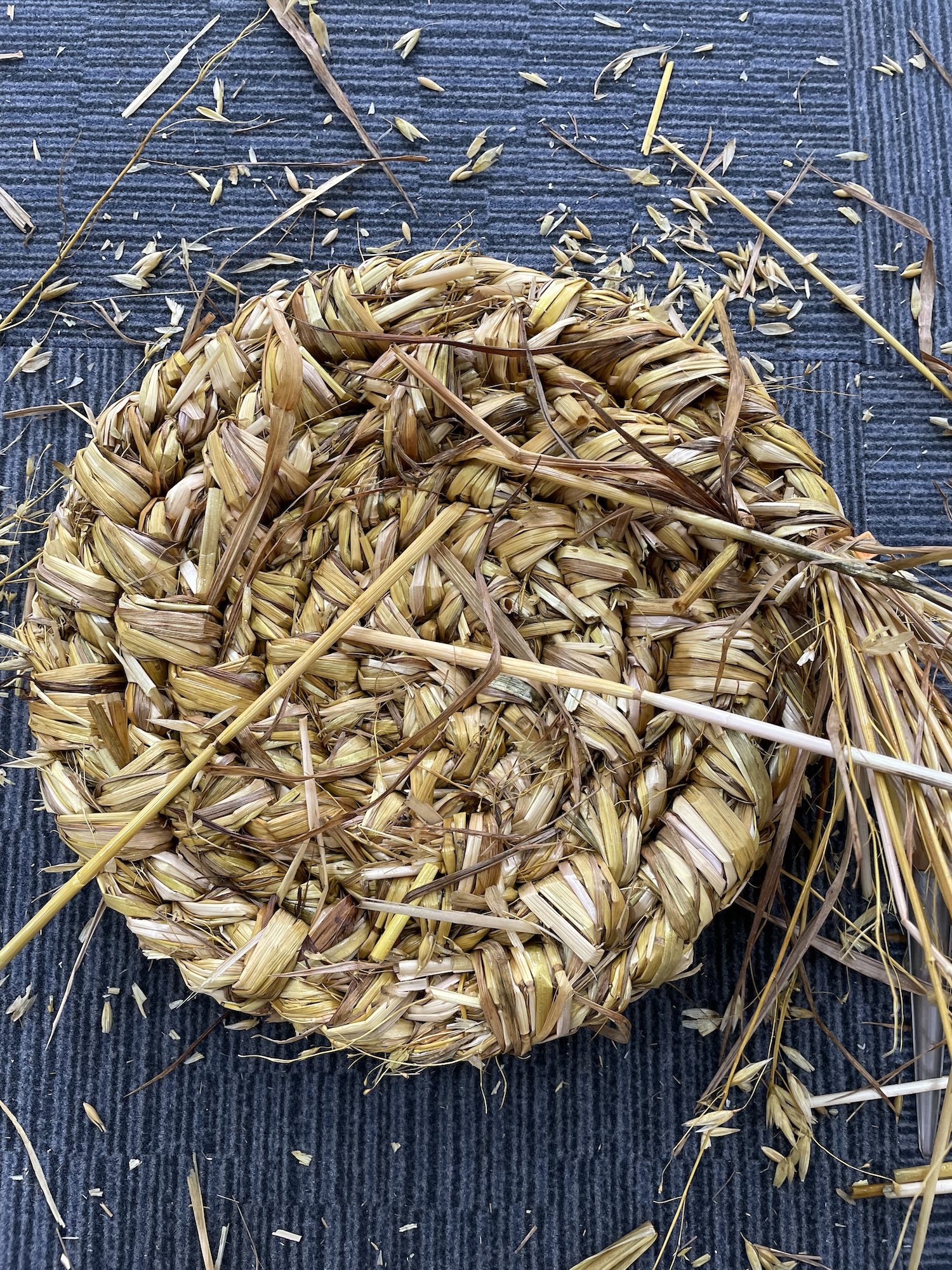 Straw work hen basket base G.jpeg