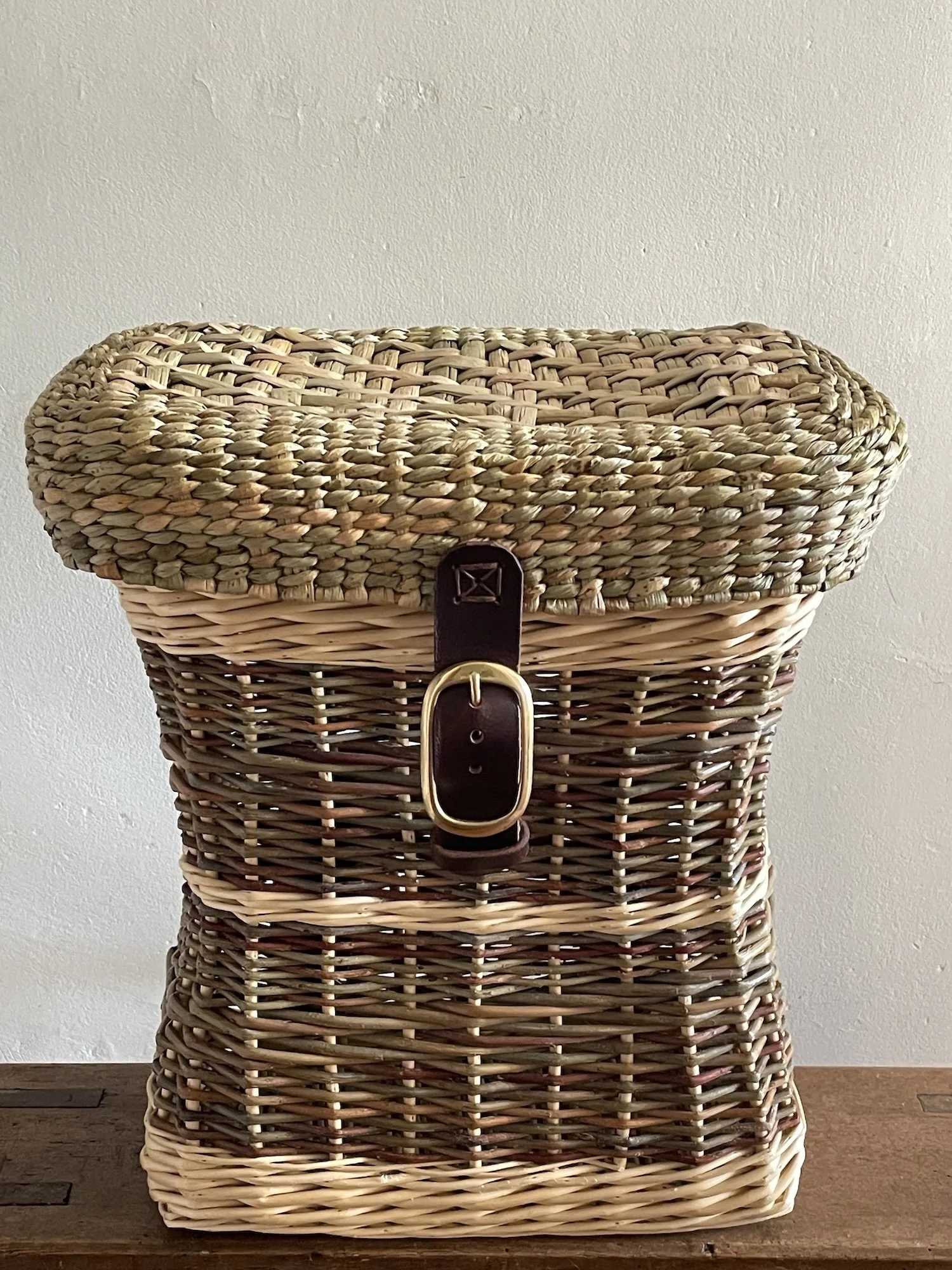 Backpack with Buckle.JPG