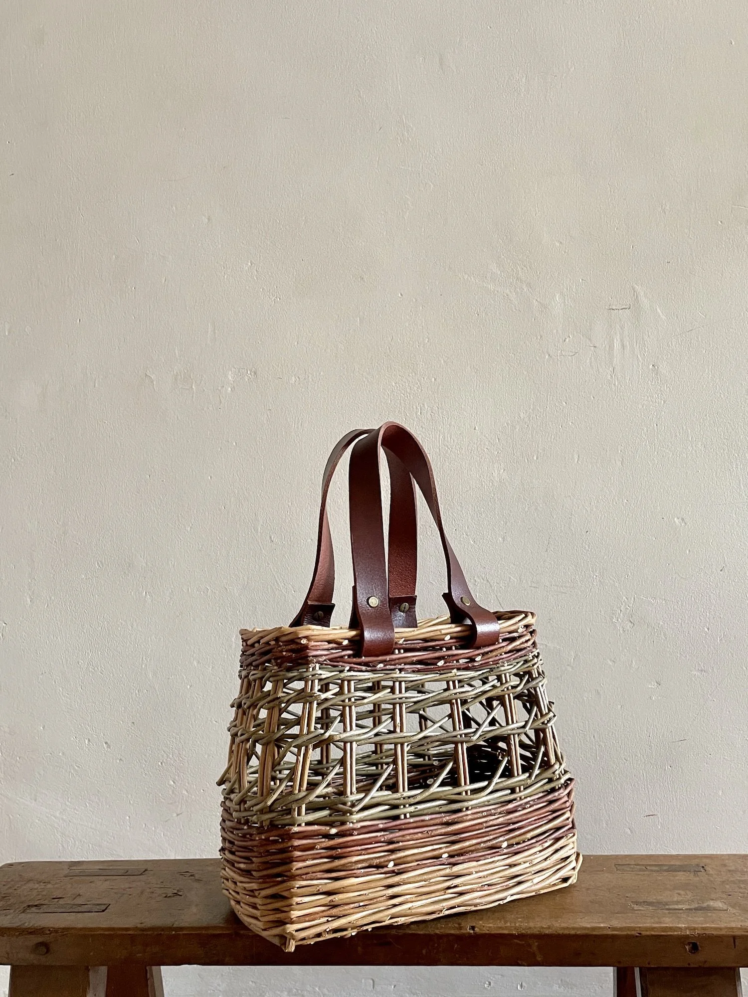 Shoulder Bag Diagonal Two Handles Portrait.JPG