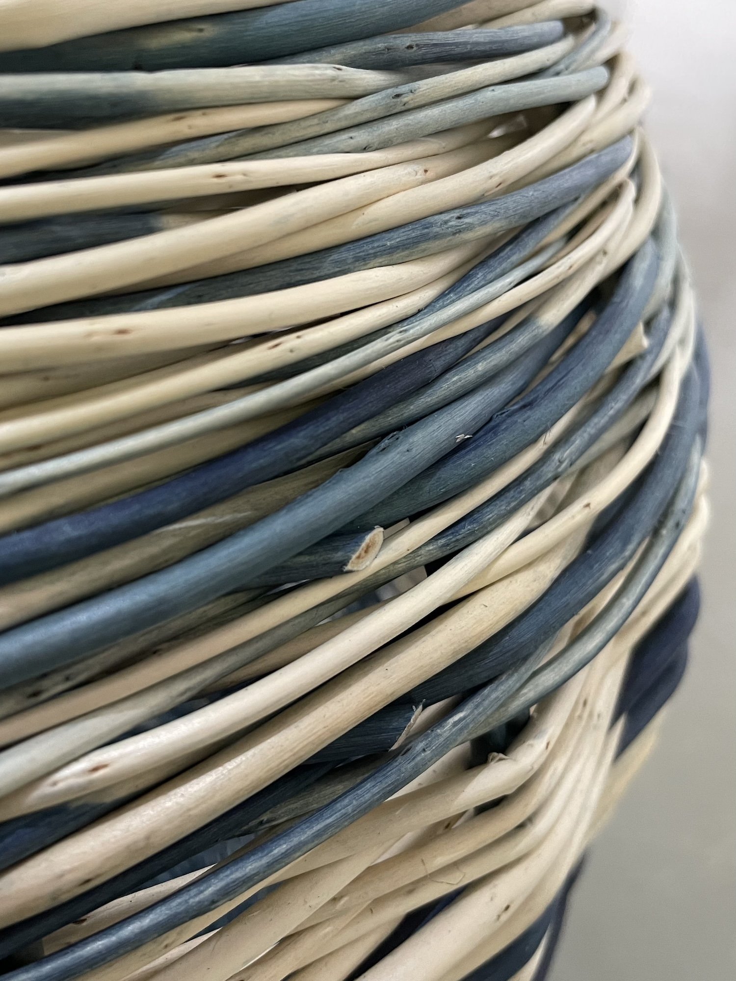 Nostle detail 3.jpeg