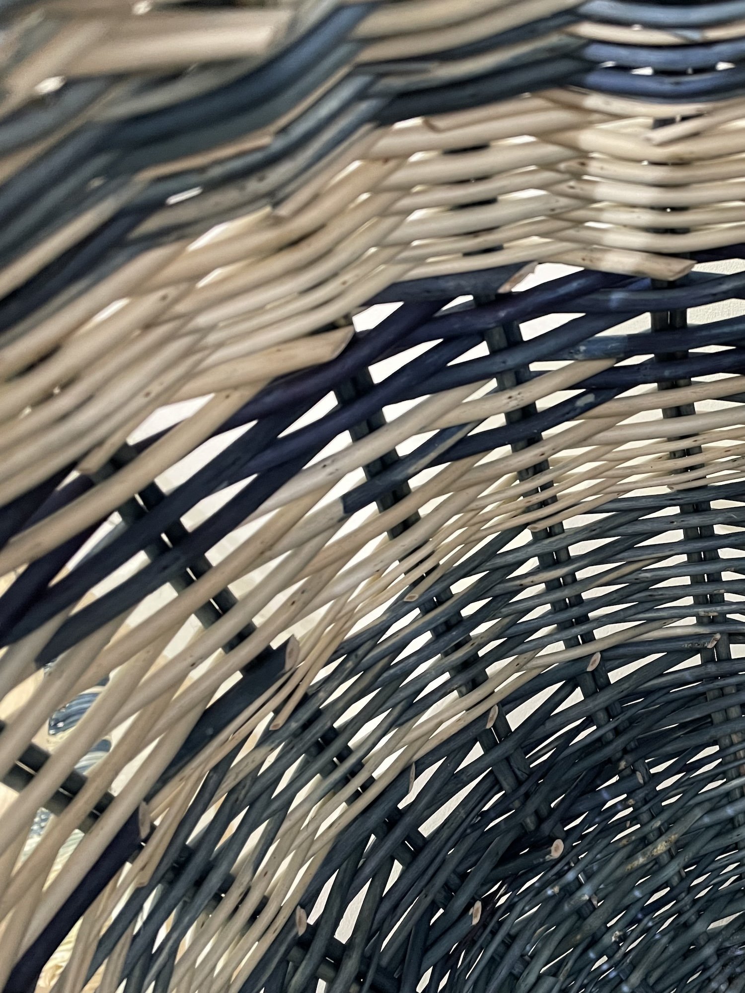 Nostle detail 2.jpeg