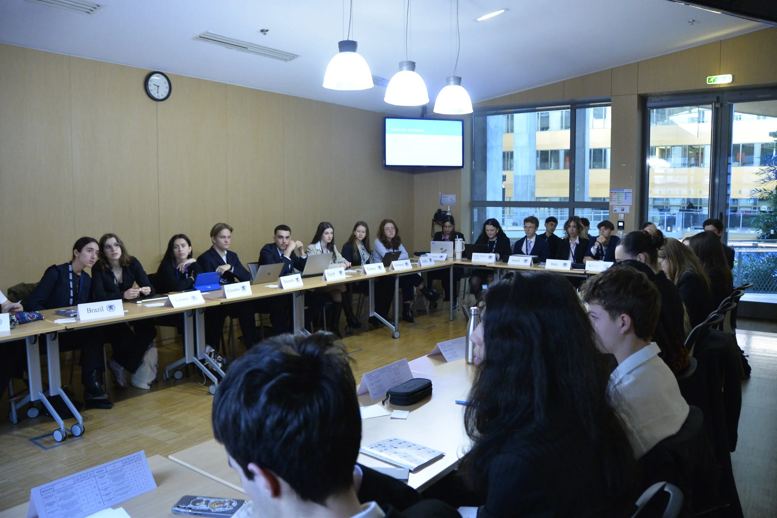 interpol delegates(10).JPG