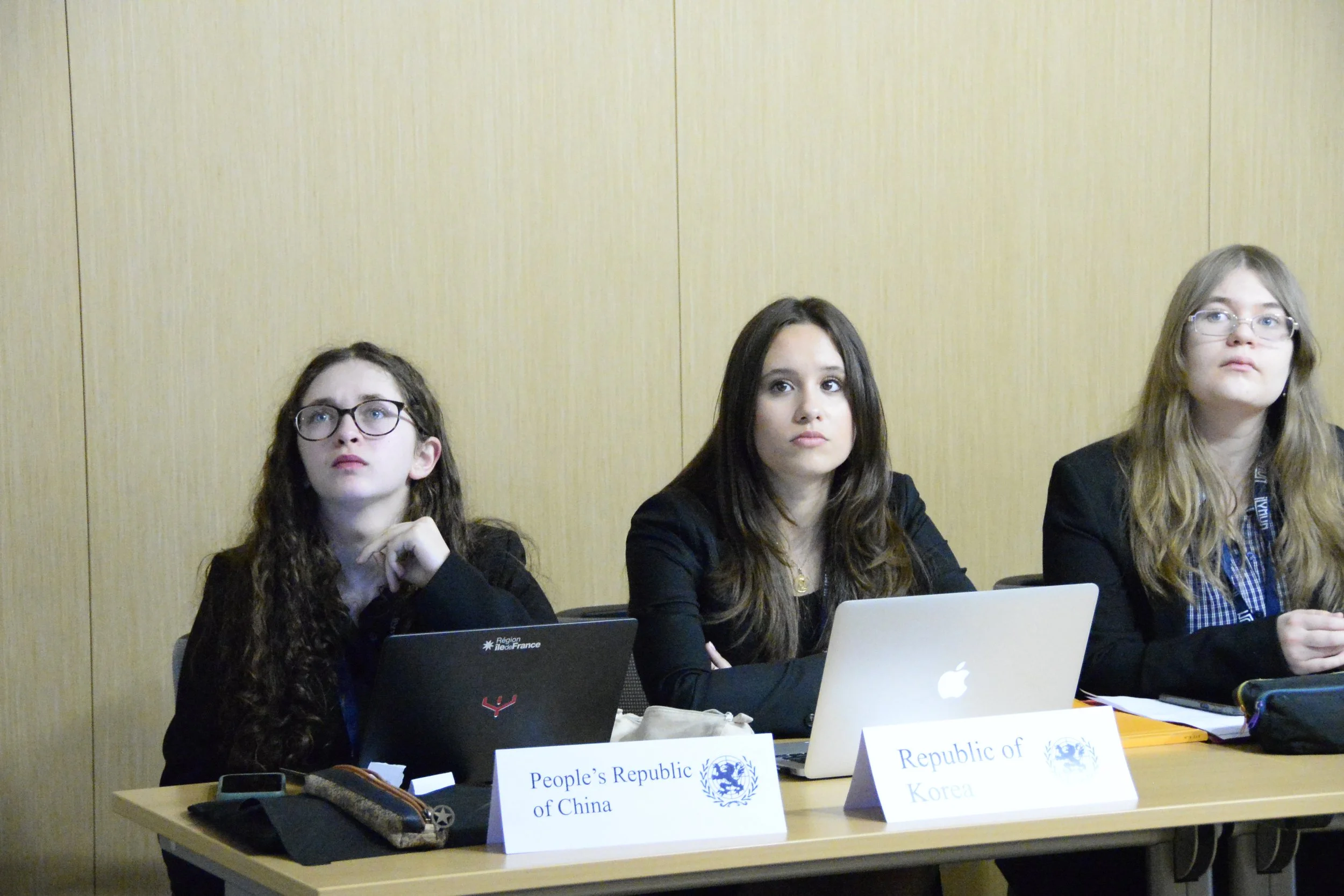 interpol delegates(5).JPG