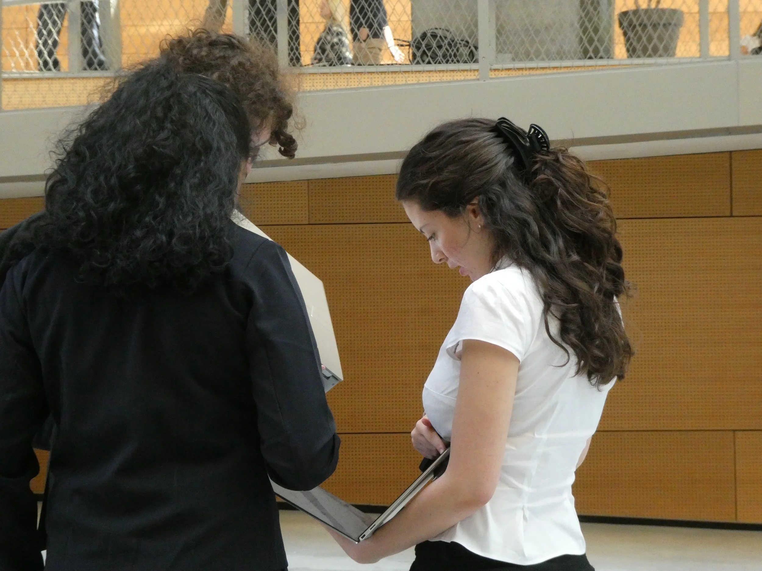 Chair of political.jpg