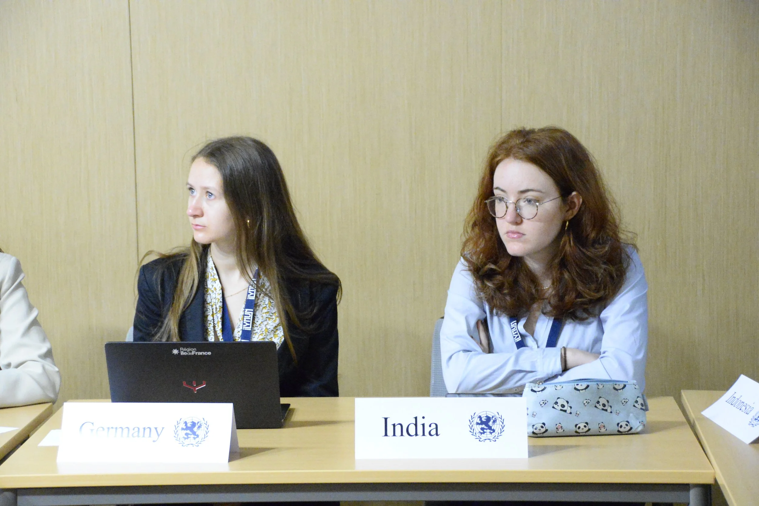 interpol delegates(11).JPG