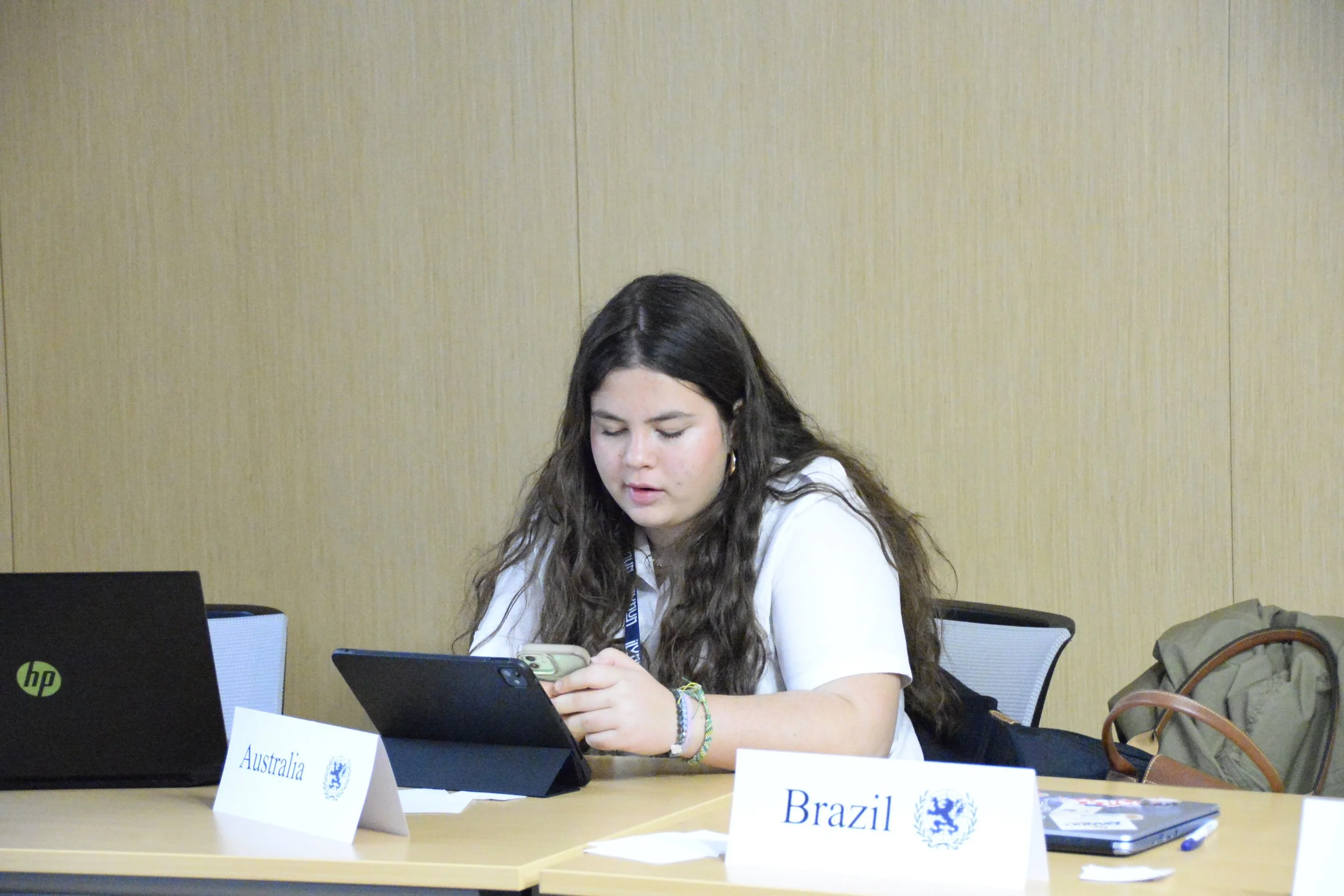 interpol delegates(26).JPG
