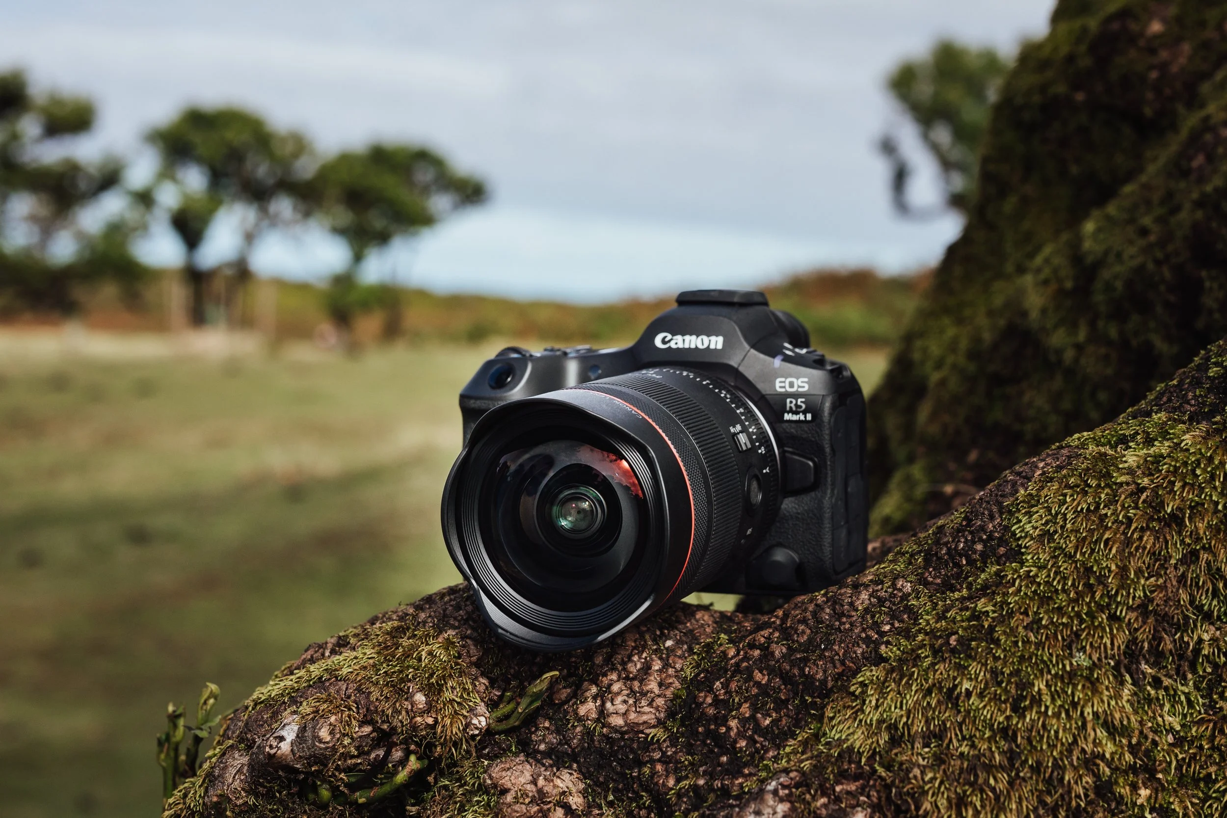 canon wide lens