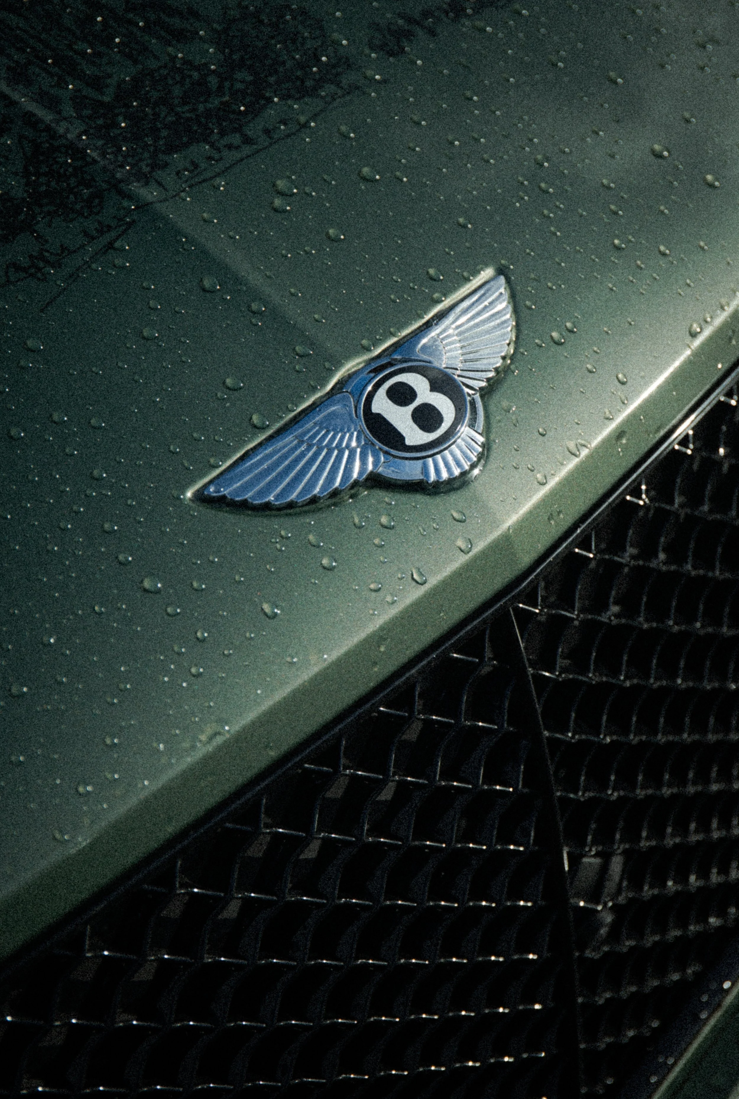 Bentley x Surfabilty