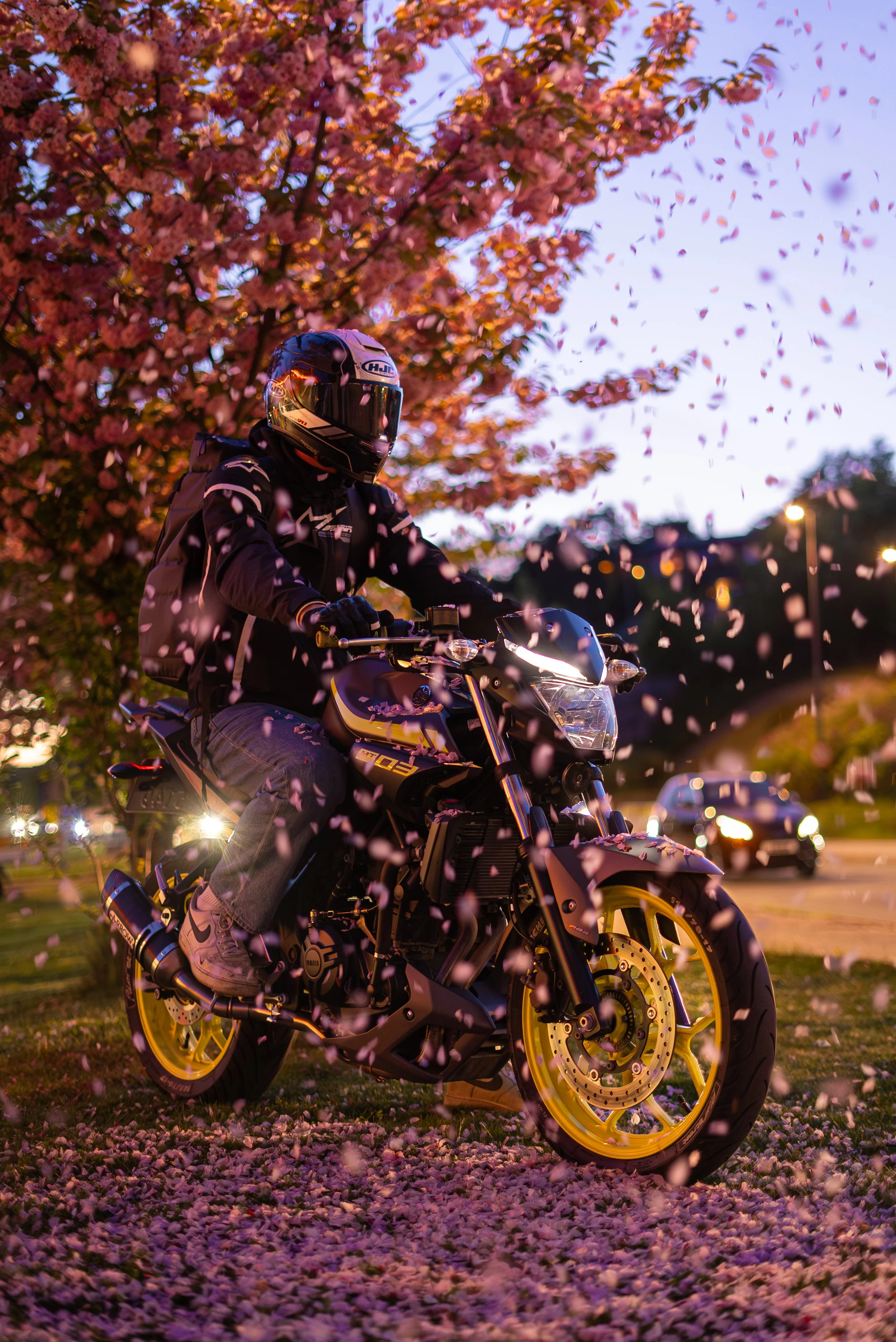 Motorsykkelfoto fra Setterberg Karlsen Media