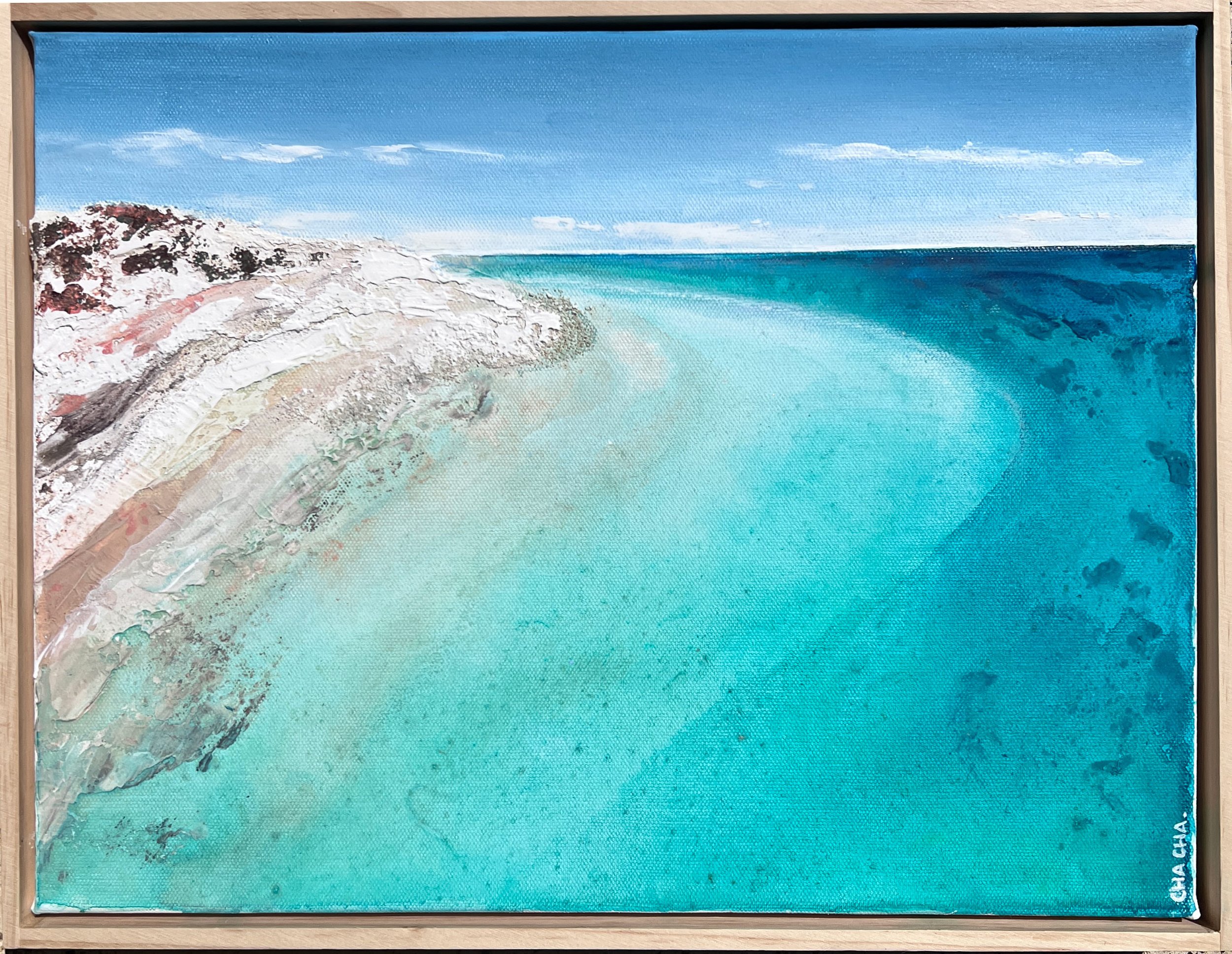 Tide~Marked (Coral Bay)