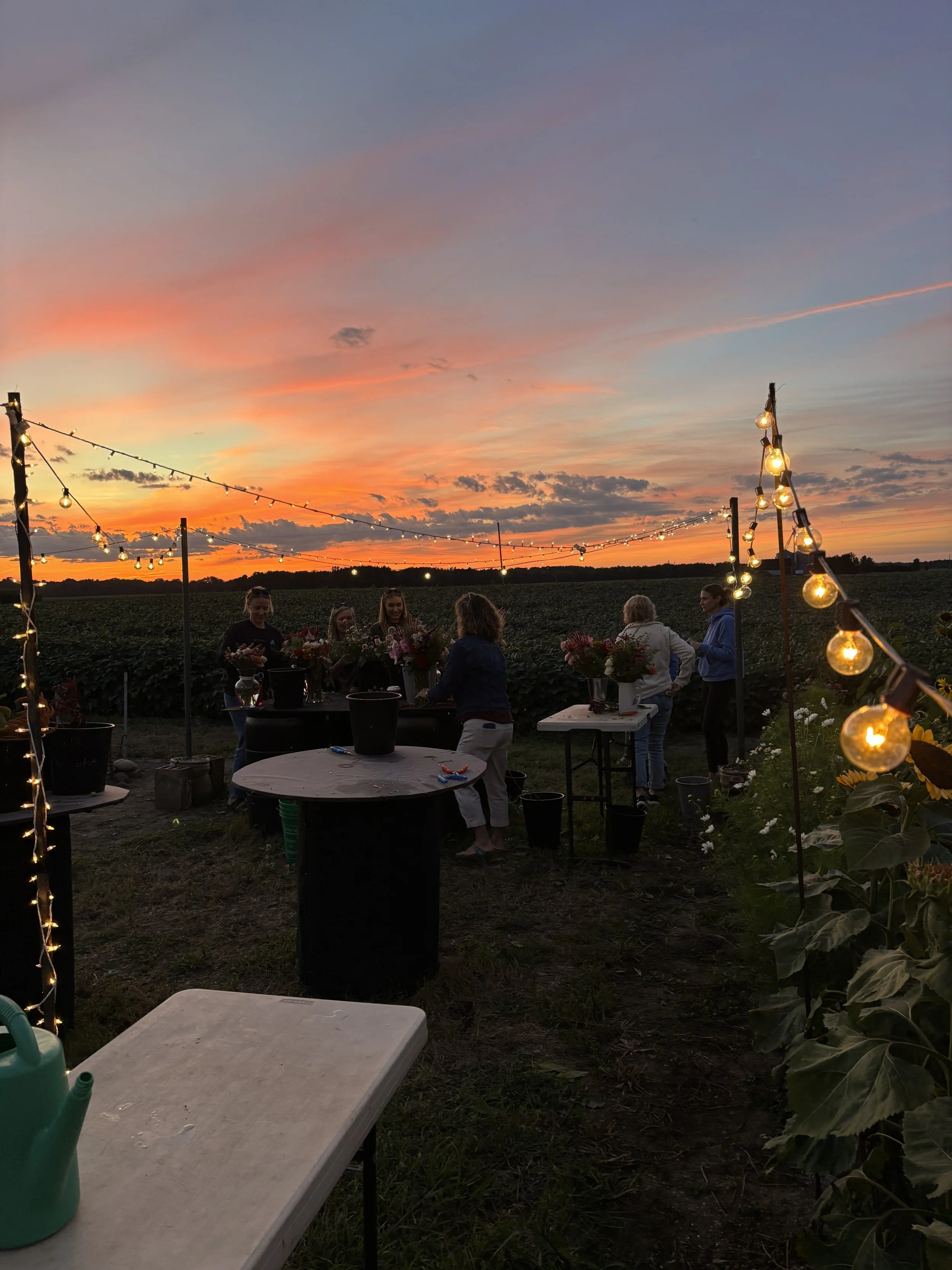 People gathering outdoors during sunset, with string lights hanging overhead, and tables with flowers and supplies, in a rural setting.