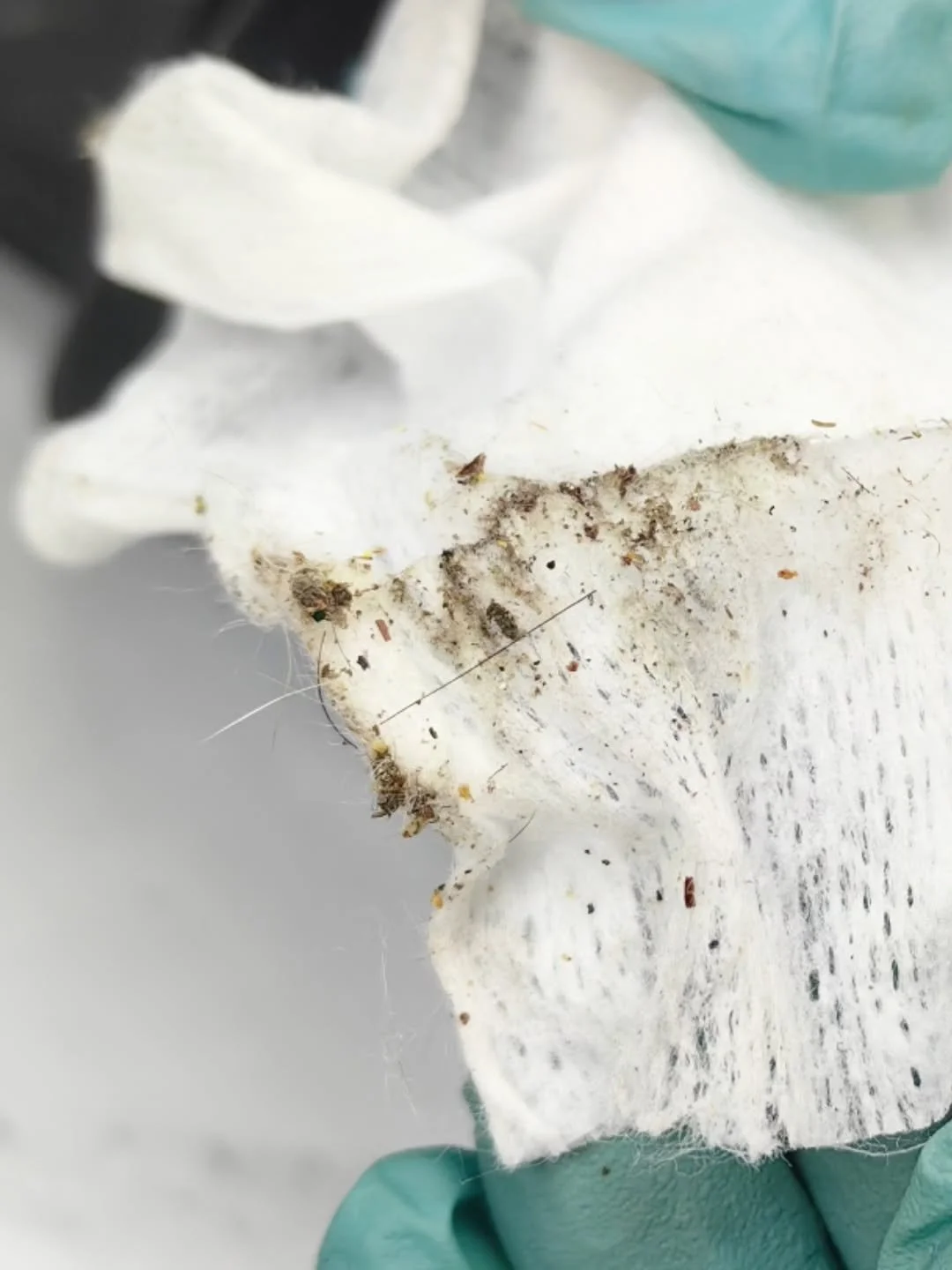 It&rsquo;s always the hidden places you can&rsquo;t see that have the most. 

We were deep-cleaning the back pocket of a client&rsquo;s bag today, and this was what came out after just one swipe.

It&rsquo;s easy to forget that the hidden parts can a