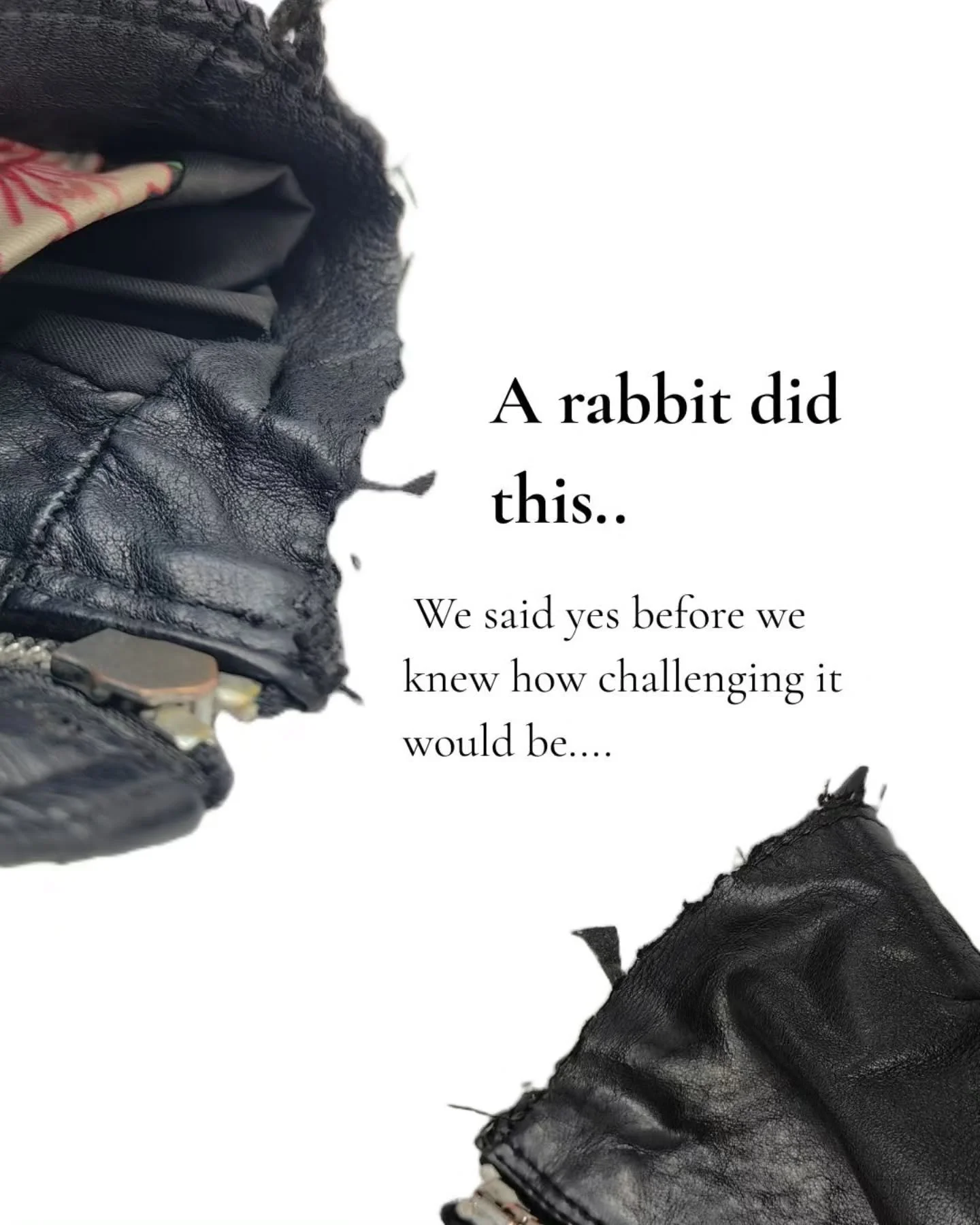 Yes, a rabbit feasted on this jacket! 🐰 Pets always know pick the best leathers. 

When the jacket came in, we were hesitant because most of our work on jackets involve tear repairs, color loss, scuffs. But this one was different. 

It went through 