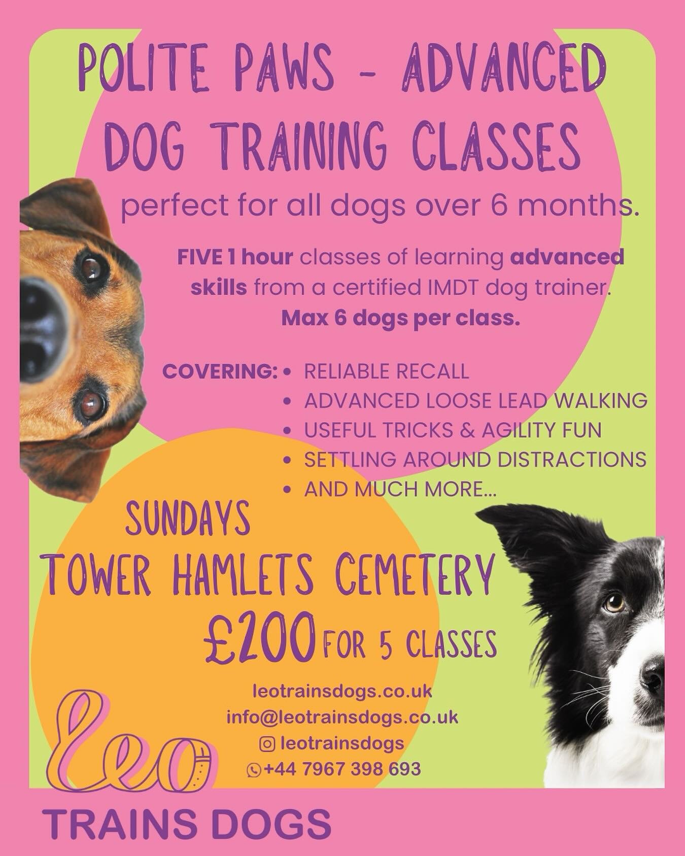 Secure your spot now! Next round of classes is starting on 15th June!

#dogtraining #dogtrainer #dogtrainingclasses #dogclasses #anxiousdog #puppy #puppyclasses