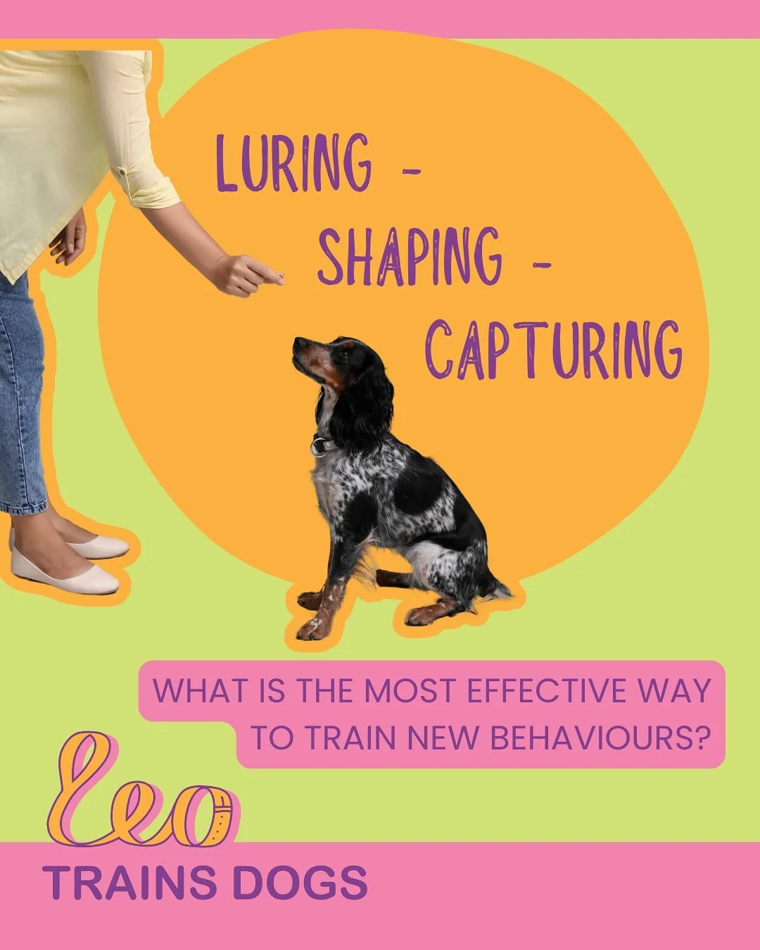 Teaching new behaviours doesn&rsquo;t have to be complicated, it&rsquo;s really about choosing the right method for your dog. In training, we often use luring, capturing or shaping, and each one has its own strengths. 

There&rsquo;s no single &ldquo