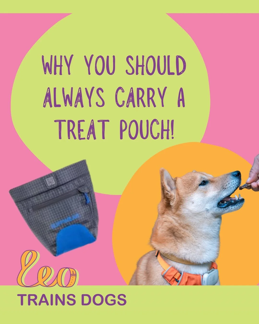 Reinforcers help your dog understand which behaviours you want to see more of. If you don&rsquo;t specifically reinforce the behaviours you see as favourable, you might be accidentally reinforcing less favourable behaviours.

A treat pouch gives you 