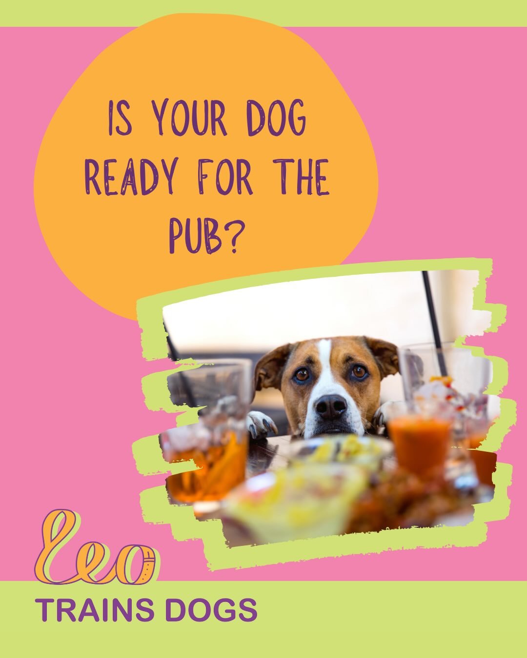 Not every dog finds busy social spaces easy, and that&rsquo;s completely okay. Here&rsquo;s how to spot whether your dog is genuinely comfortable, or if they&rsquo;d prefer a quieter day out.

Signs Your Dog Is Ready:
&bull; They approach with loose 