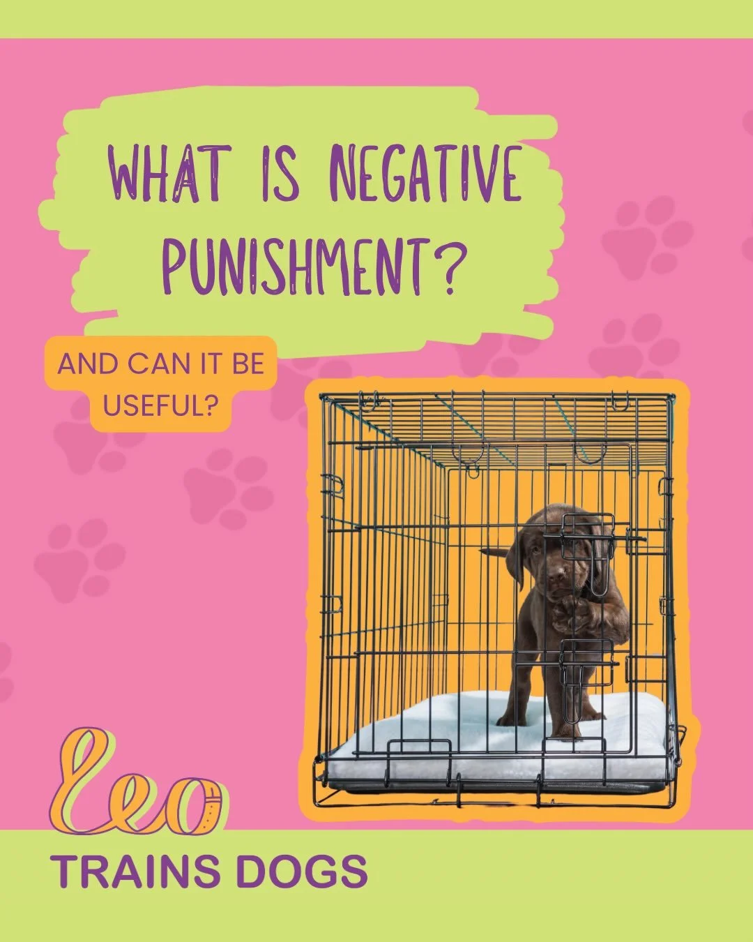 Negative punishment means removing something the learner (our dog) wants (attention, food, play, access) to reduce the likelihood of a behaviour being repeated in the future under similar circumstances. While it can stop behaviour in the moment, it d