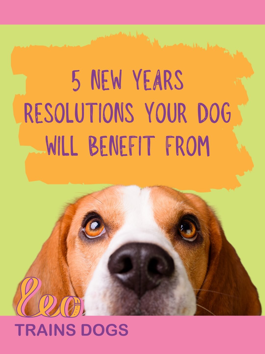 I&rsquo;m not a big fan of New Years Resolutions. We usually put a lot of pressure on ourselves and then give up quickly when we find that we didn&rsquo;t do as perfectly as we hoped we would. Instead, focus on small, manageable changes and goals.
He