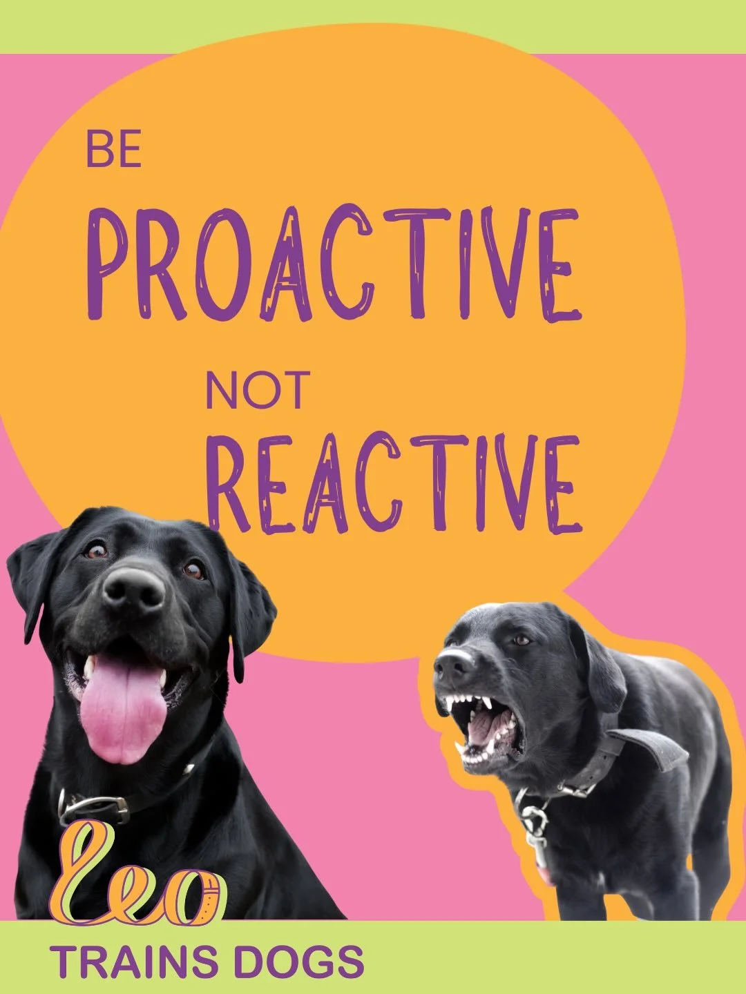 When should you work with a trainer?
Let&rsquo;s be honest, every dog would benefit from working with a force free trainer, it doesn&rsquo;t matter if they don&rsquo;t have behavioural issues or not. 
Training can help your dog be more fulfilled, enr