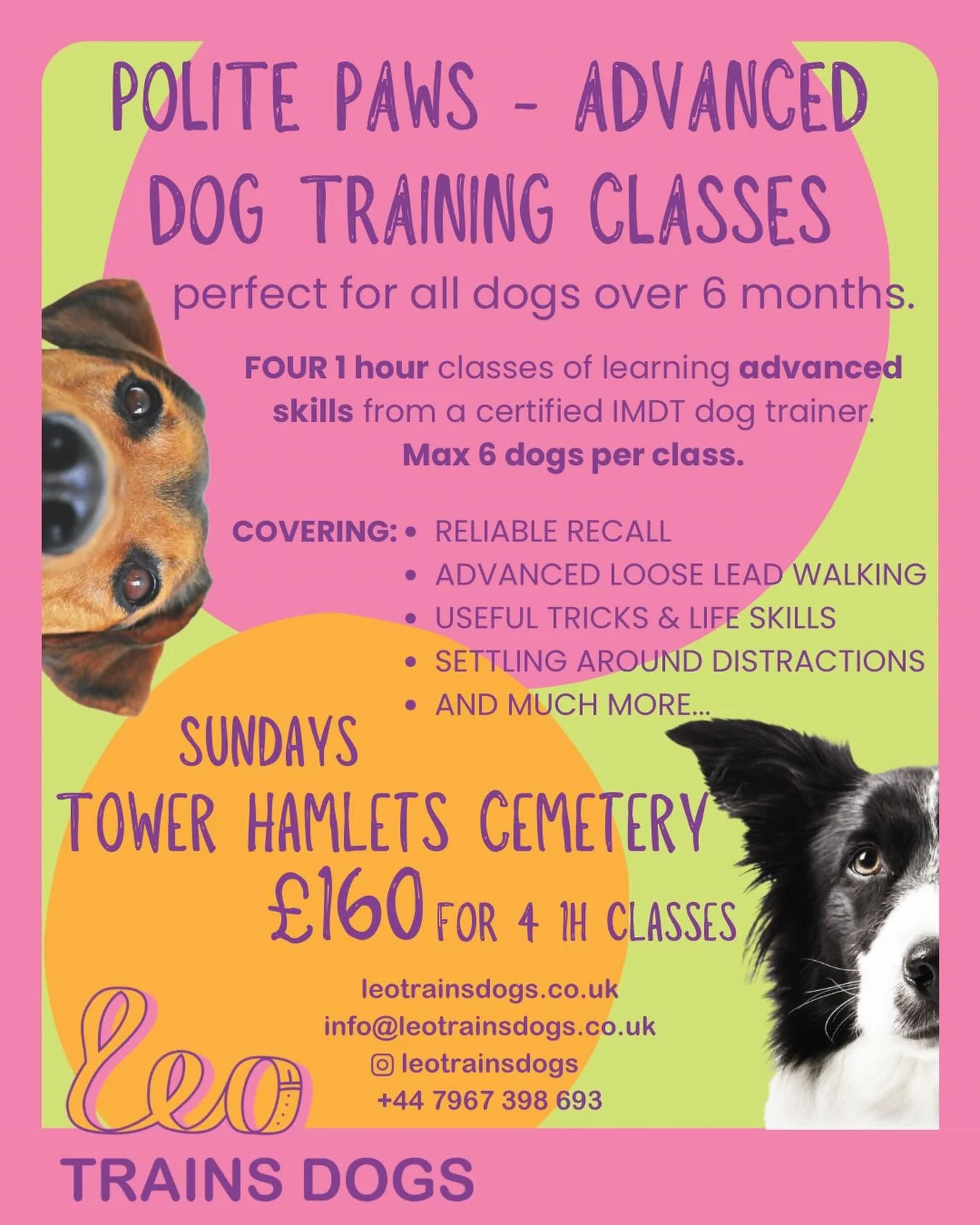 POLITE PAWS Classes are back! Starting 5th April 10am

Head to leotrainsdogs.co.uk/classes to book or DM me.