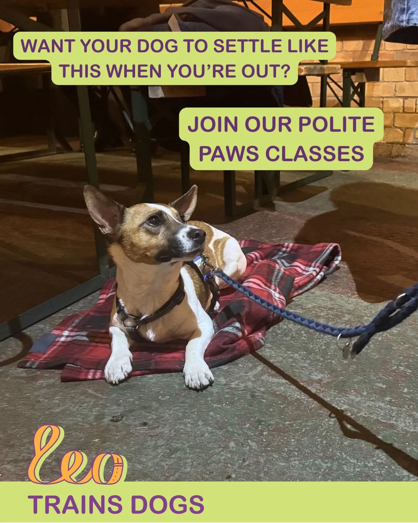Polite Paws classes for all dogs over 6 months are starting on 12th April.

Teach your dog how to settle, recall, walk without pulling and other important life skills in our 4 week class in Tower Hamlets Cemetery Park! 

DM or link in bio to book!