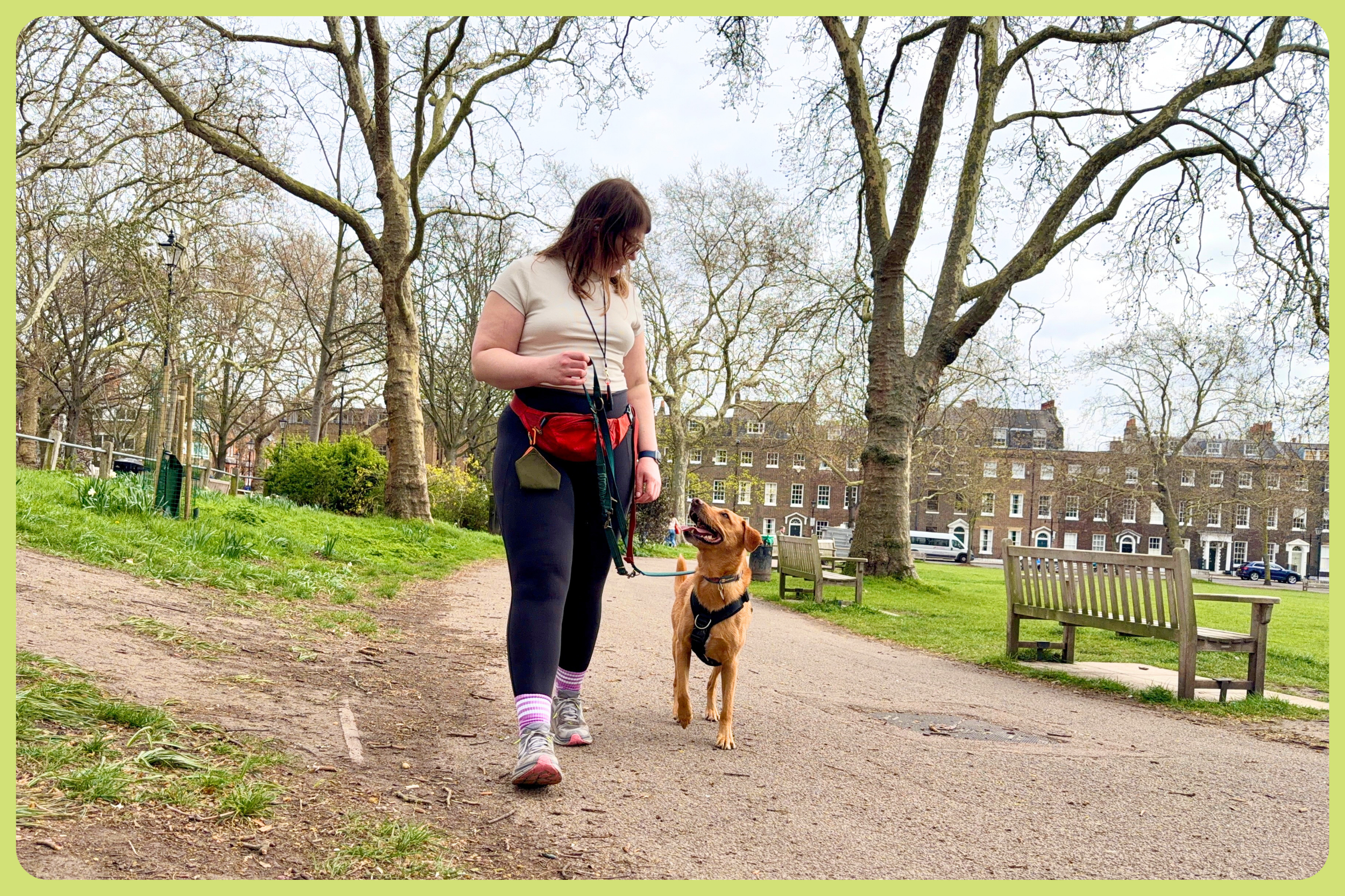 Dog walking on loose lead in training session
