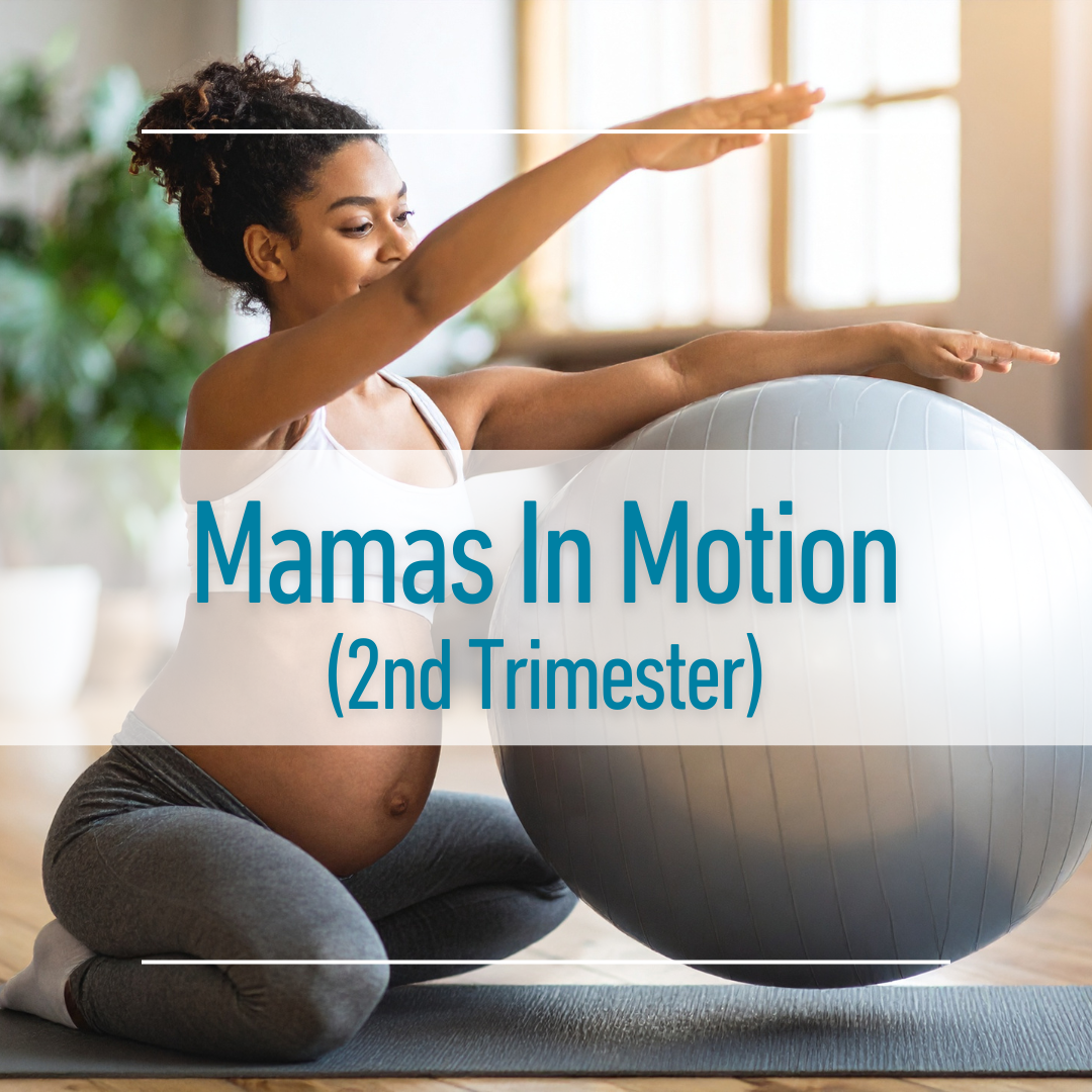 Mamas In Motion Cohort 1: 2nd Trimester