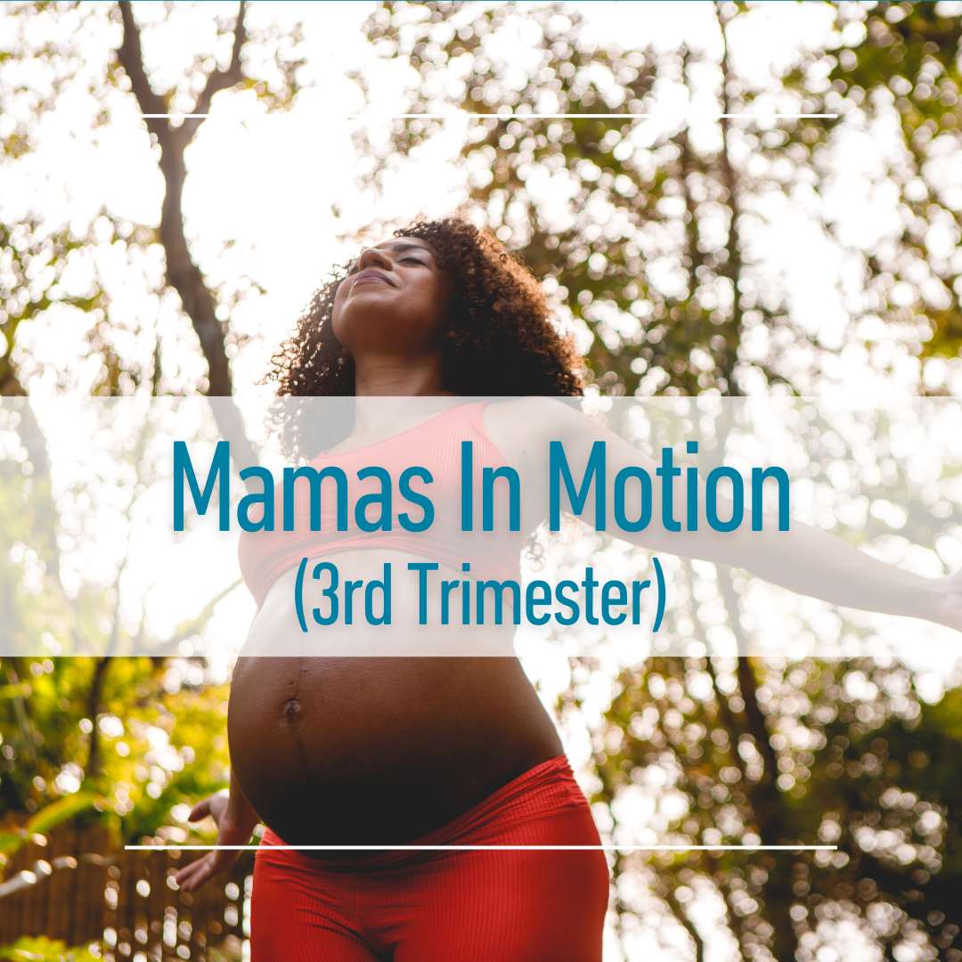 Mamas in Motion Cohort 1, 3rd Trimester