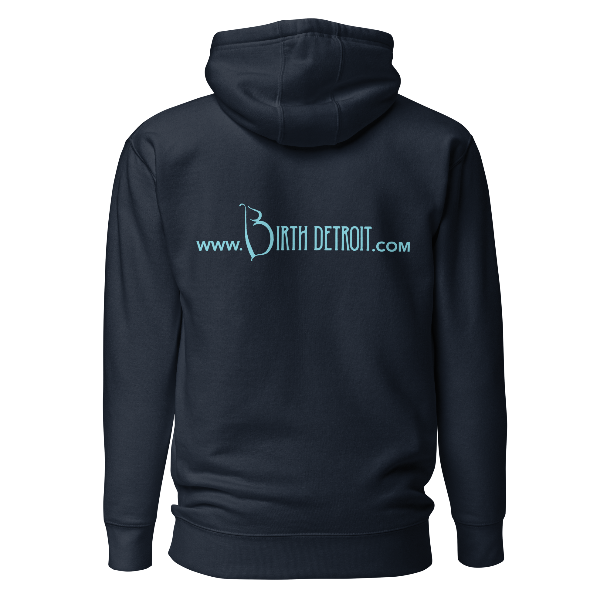 cotton-heritage-m2580-i-unisex-premium-pullover-hoodie-navy-blazer-back-68df05fb3218e.png