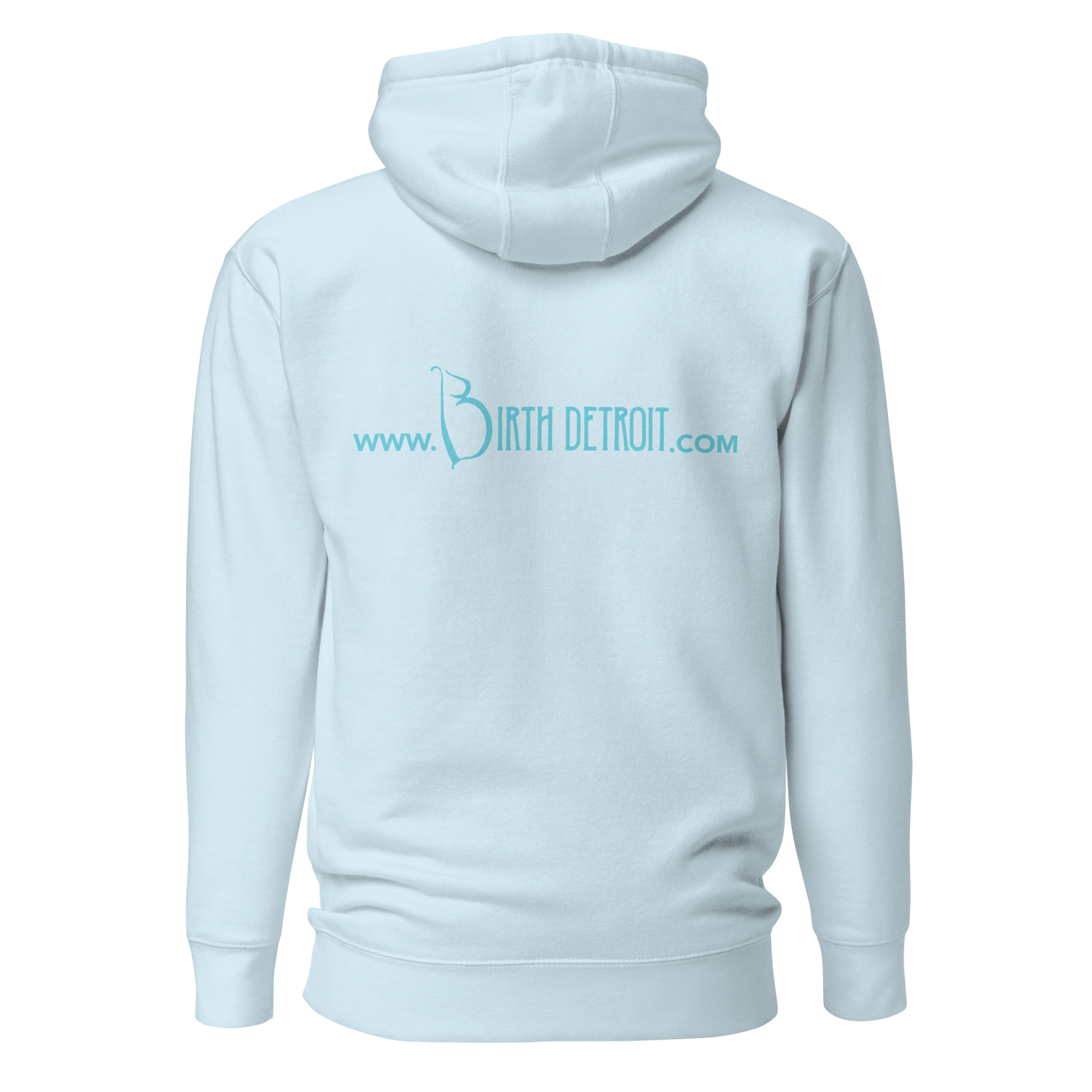 cotton-heritage-m2580-i-unisex-premium-pullover-hoodie-sky-blue-back-68df05fb32224.png