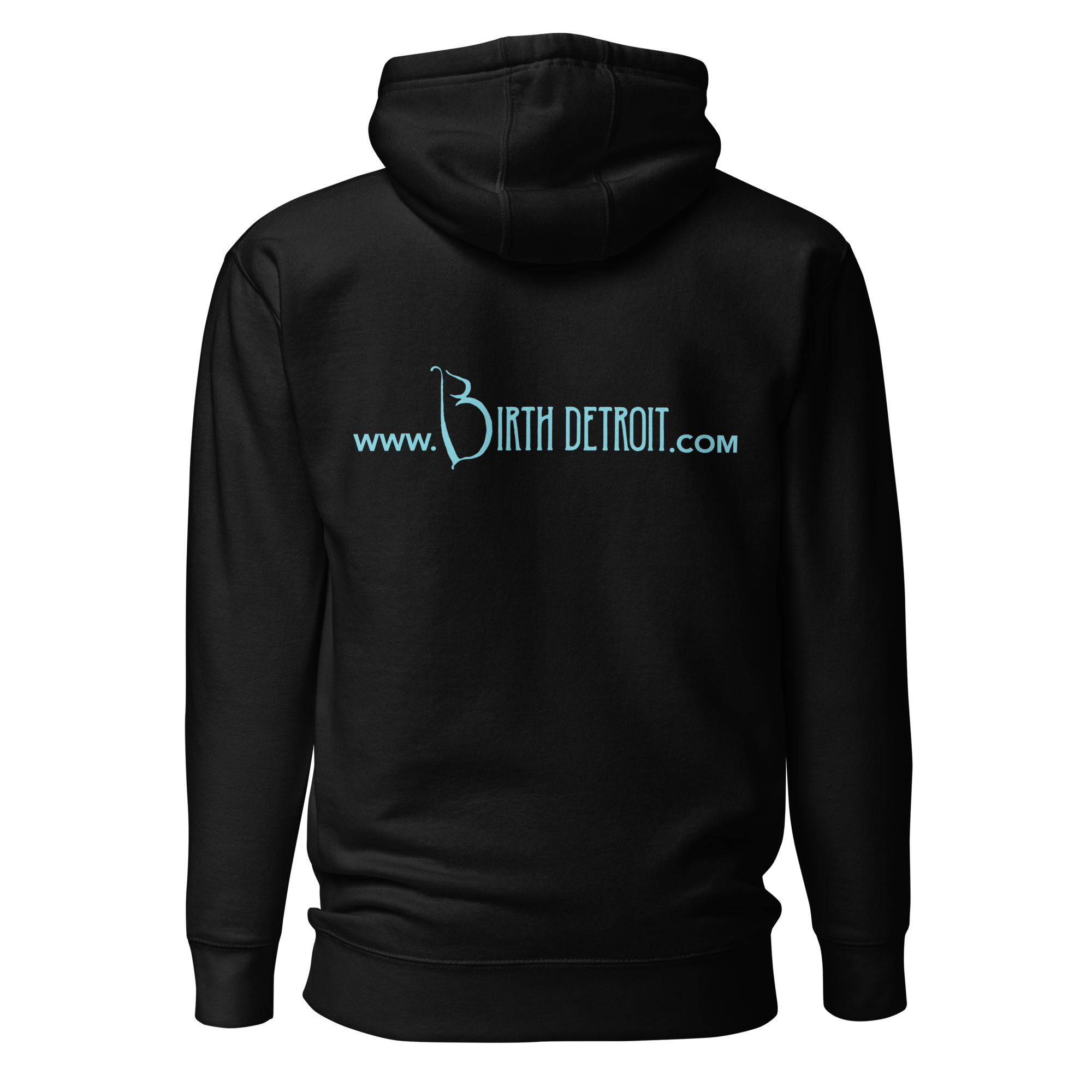 cotton-heritage-m2580-i-unisex-premium-pullover-hoodie-black-back-68df05fb31fa3.png
