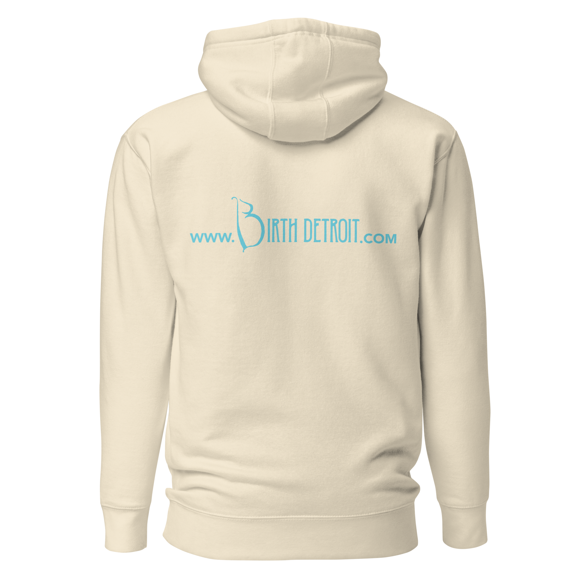 cotton-heritage-m2580-i-unisex-premium-pullover-hoodie-bone-back-68df05fb322b9.png