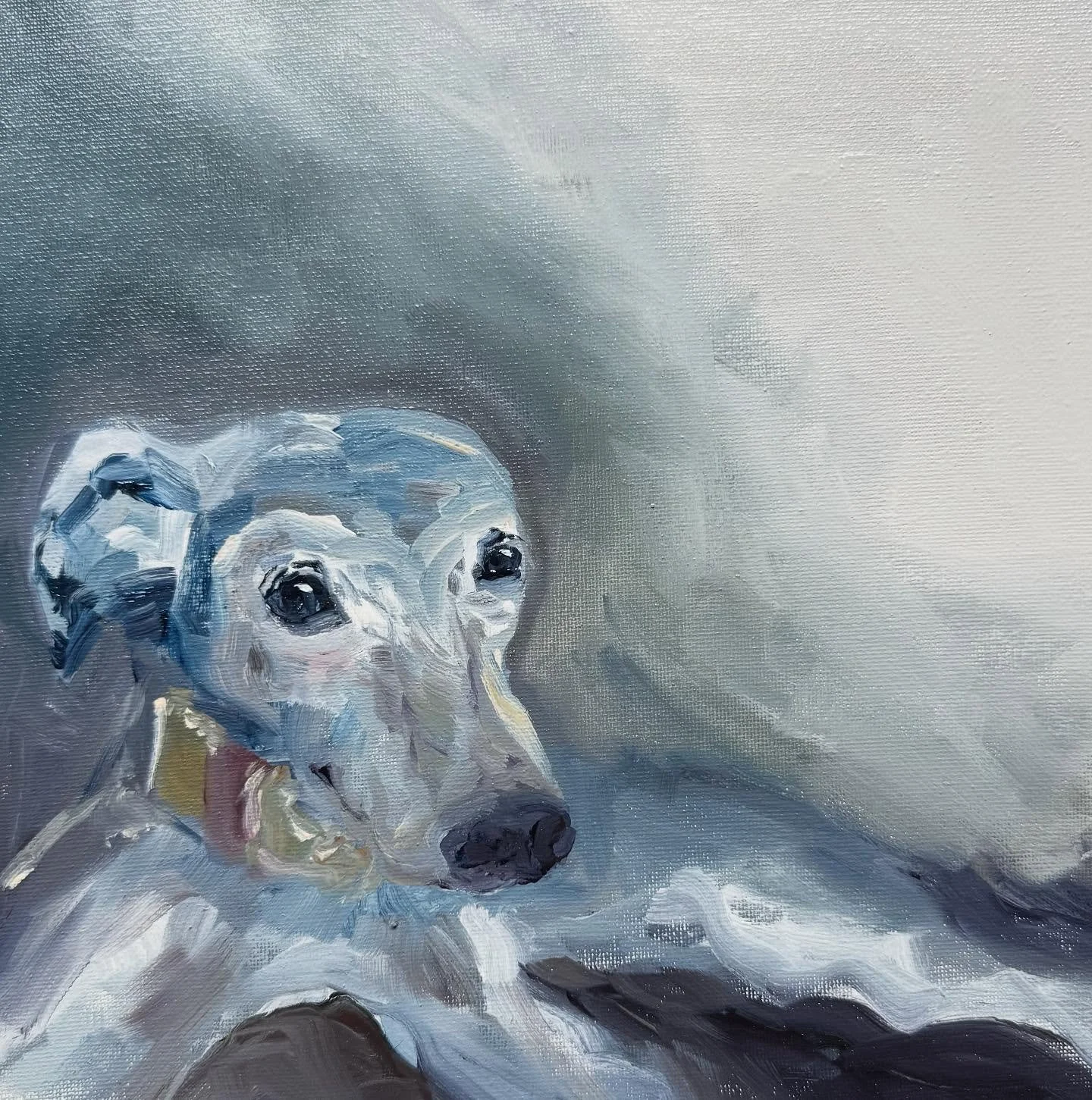 Recently I was asked to capture the essence of two beautiful dogs in paint form. Robin and Clark - lithe, gentle, beloved. 
Clark now across the rainbow bridge 😢🌈. I&rsquo;m guessing Robin really misses him. 😭🐶
I sincerely hope these paintings br