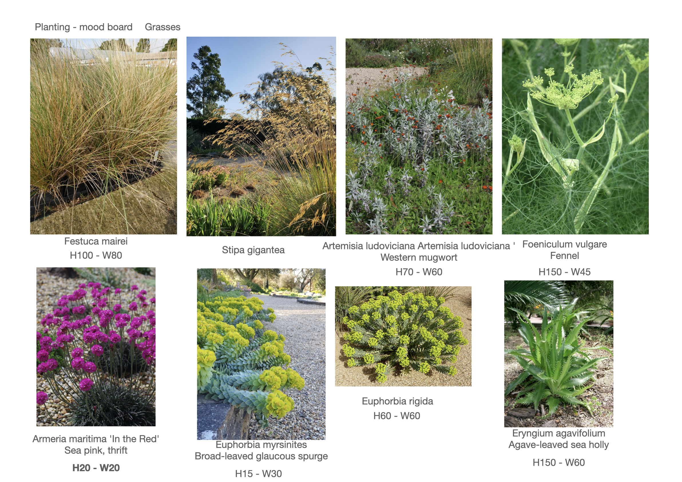 Project 8 presentation.062.png