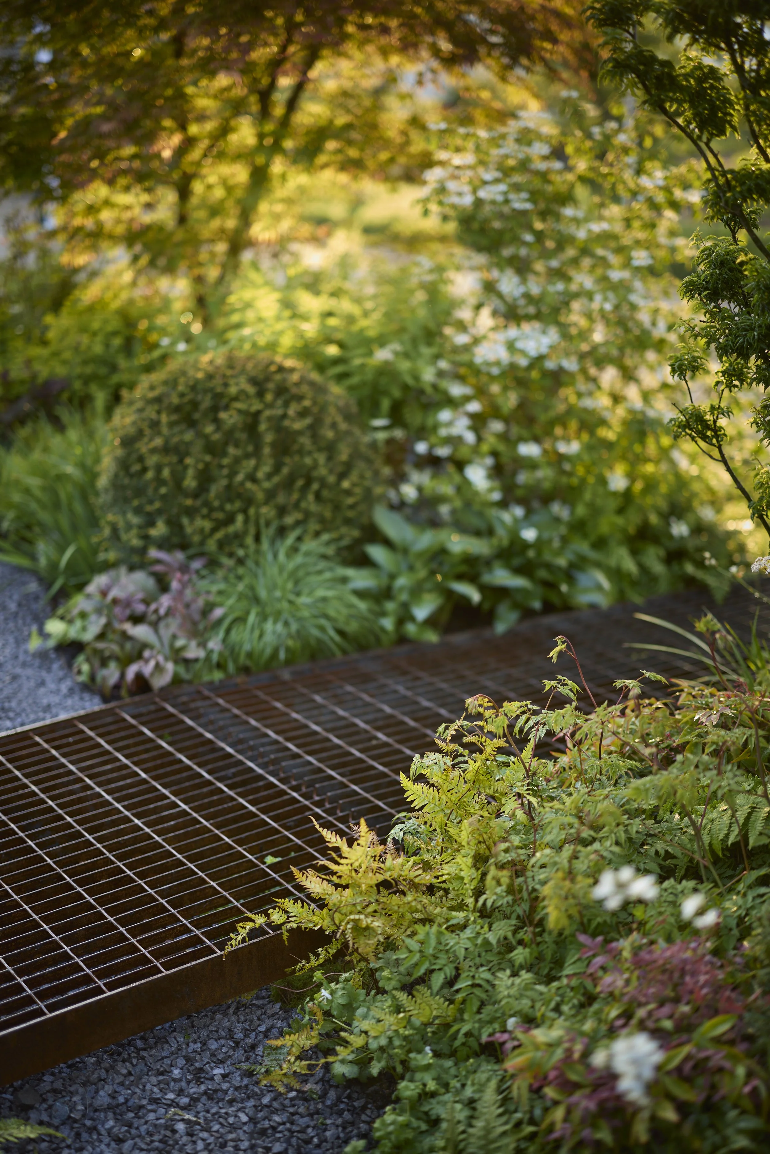 JH-RAIN GARDEN-Pathways_T2_3342.jpg