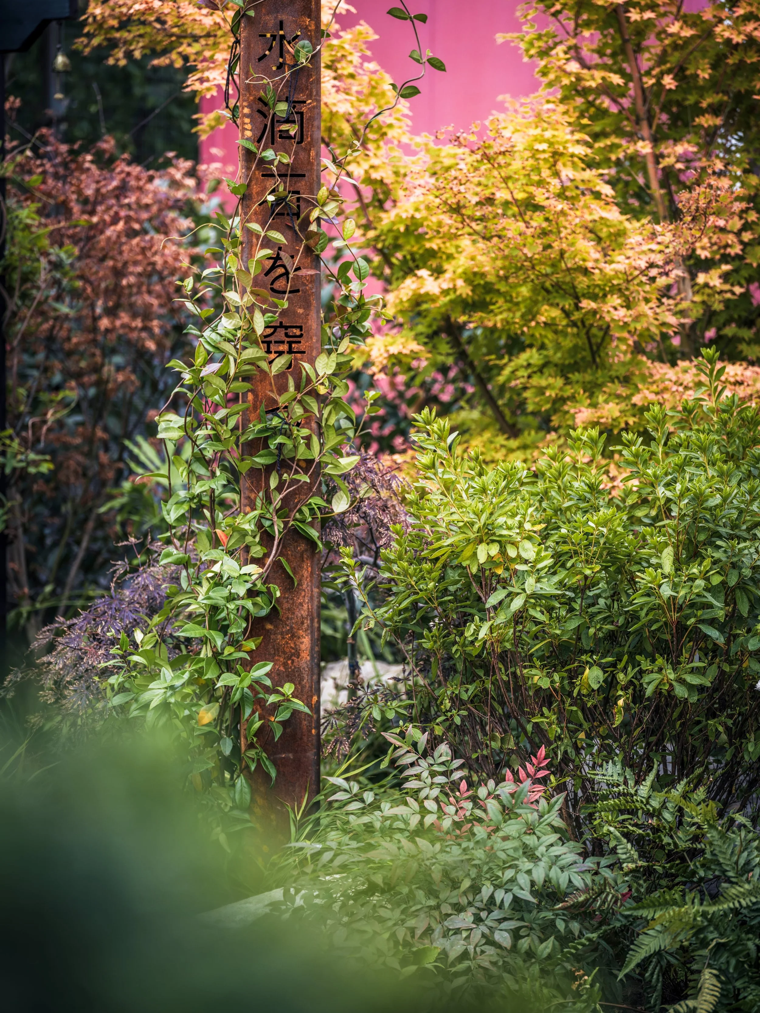 DSCF8339.jpg