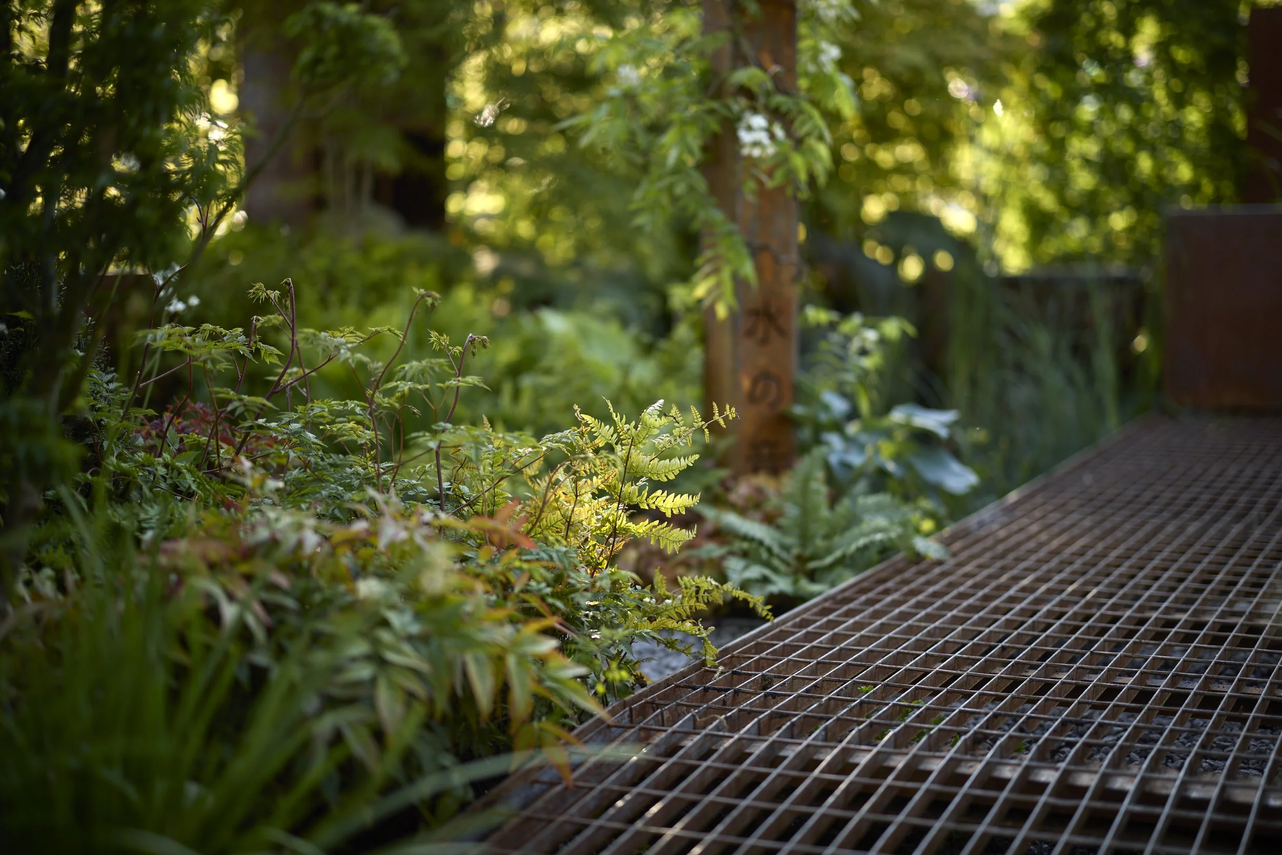 JH-RAIN GARDEN-Pathways_T2_3261.jpg