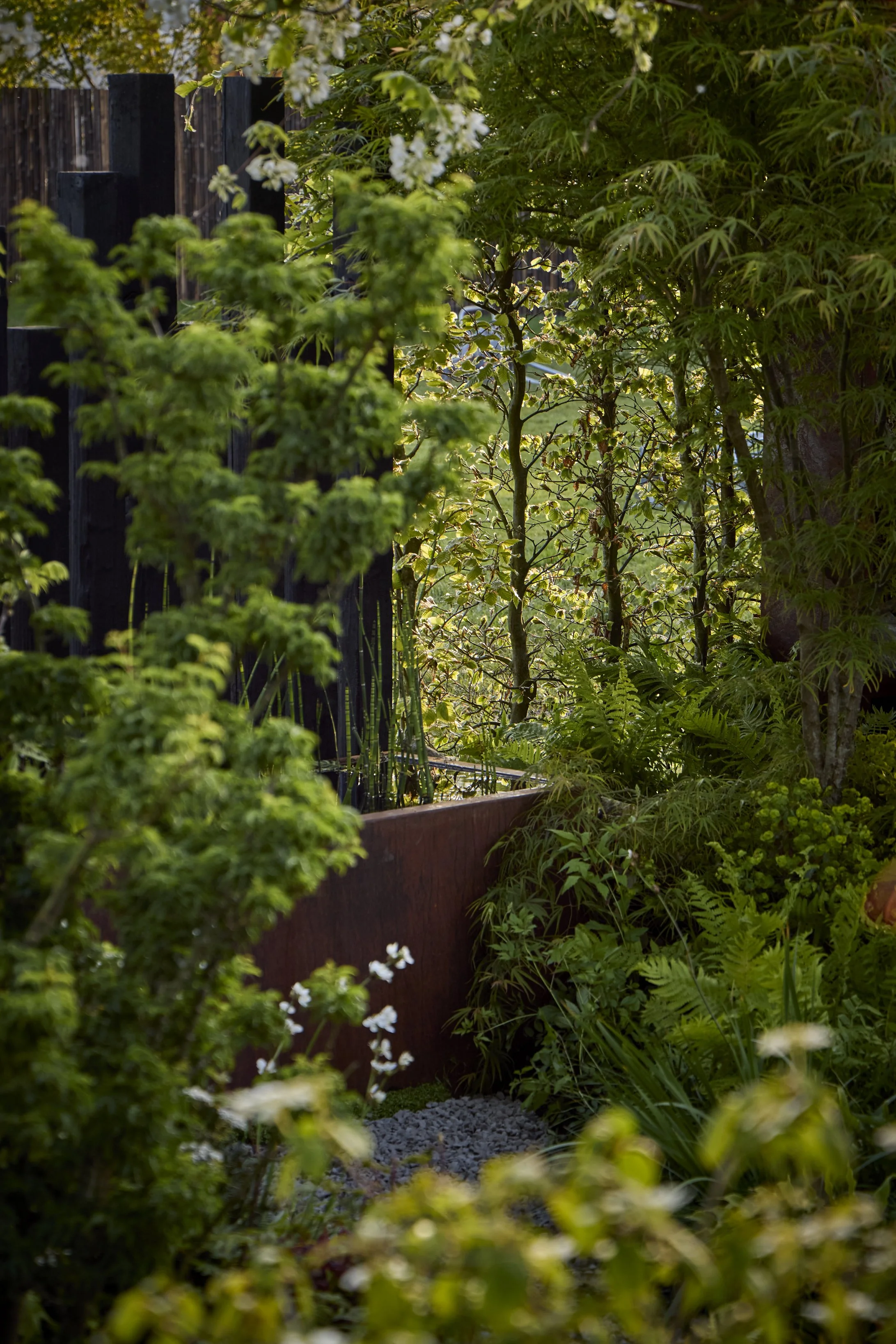 JH-RAIN GARDEN-Planting_T1_5198.jpg